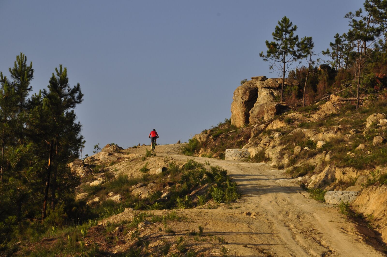 Nikon D5000 sample photo. Ascent, sunset, biking photography