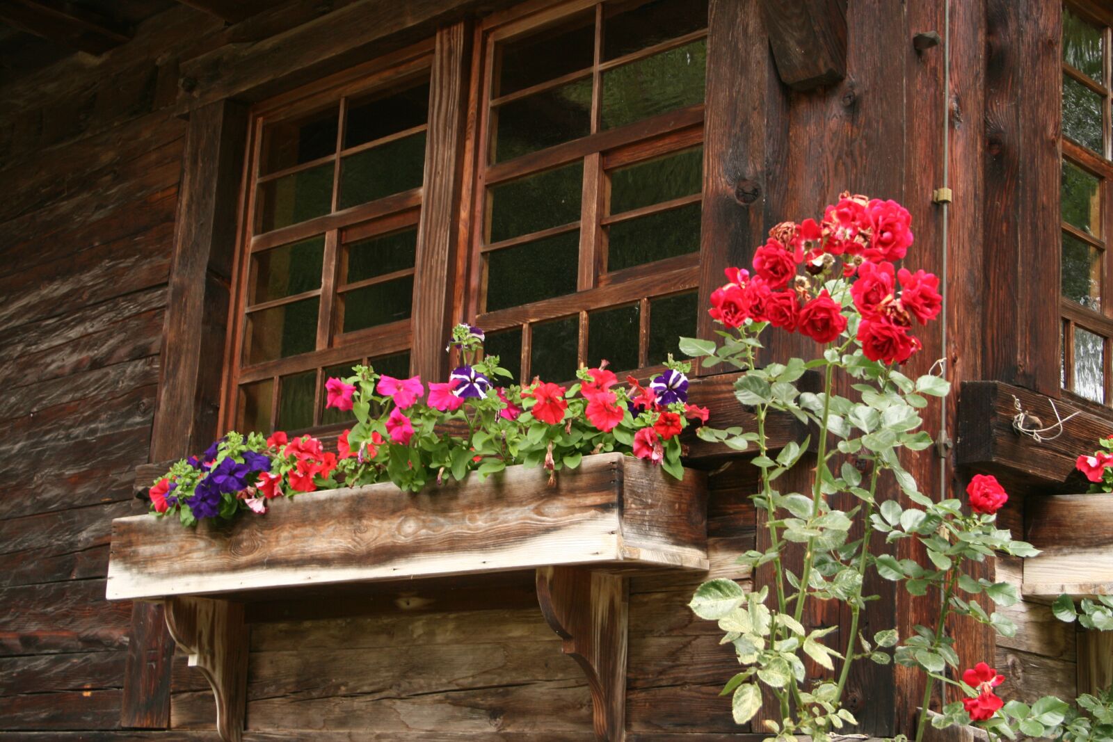 Canon EOS 400D (EOS Digital Rebel XTi / EOS Kiss Digital X) sample photo. Hotzenwald house, black forest photography
