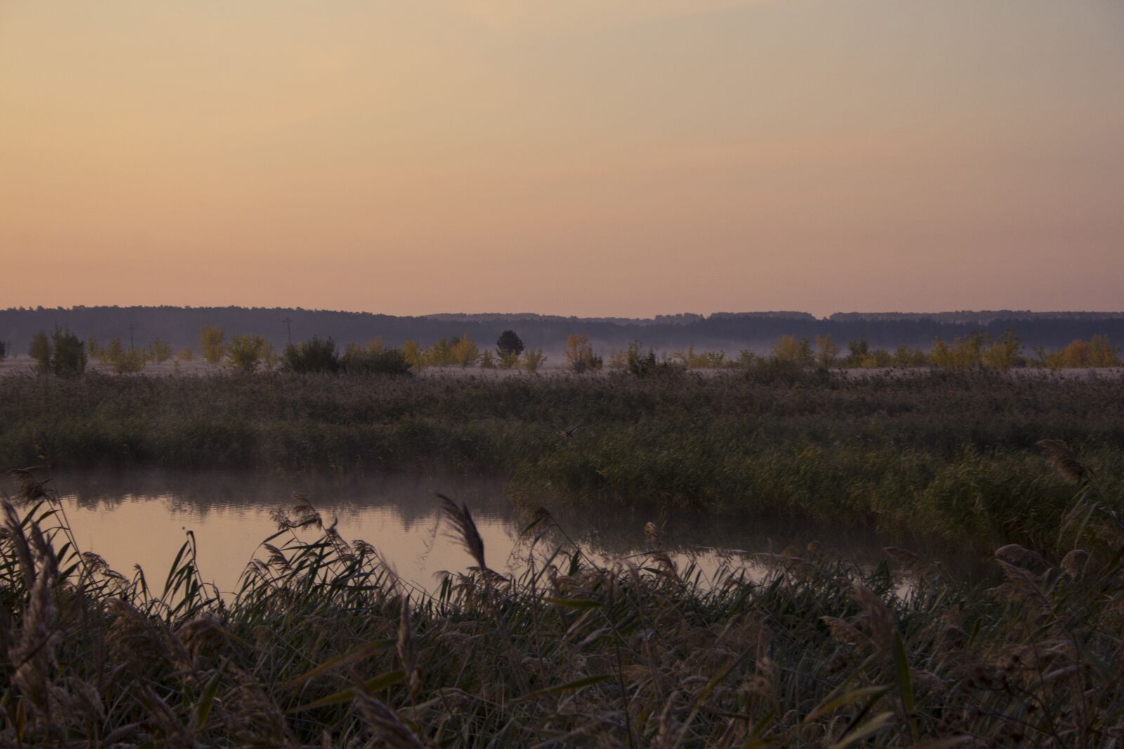 Canon EOS 60D sample photo. River, dawn, fog photography
