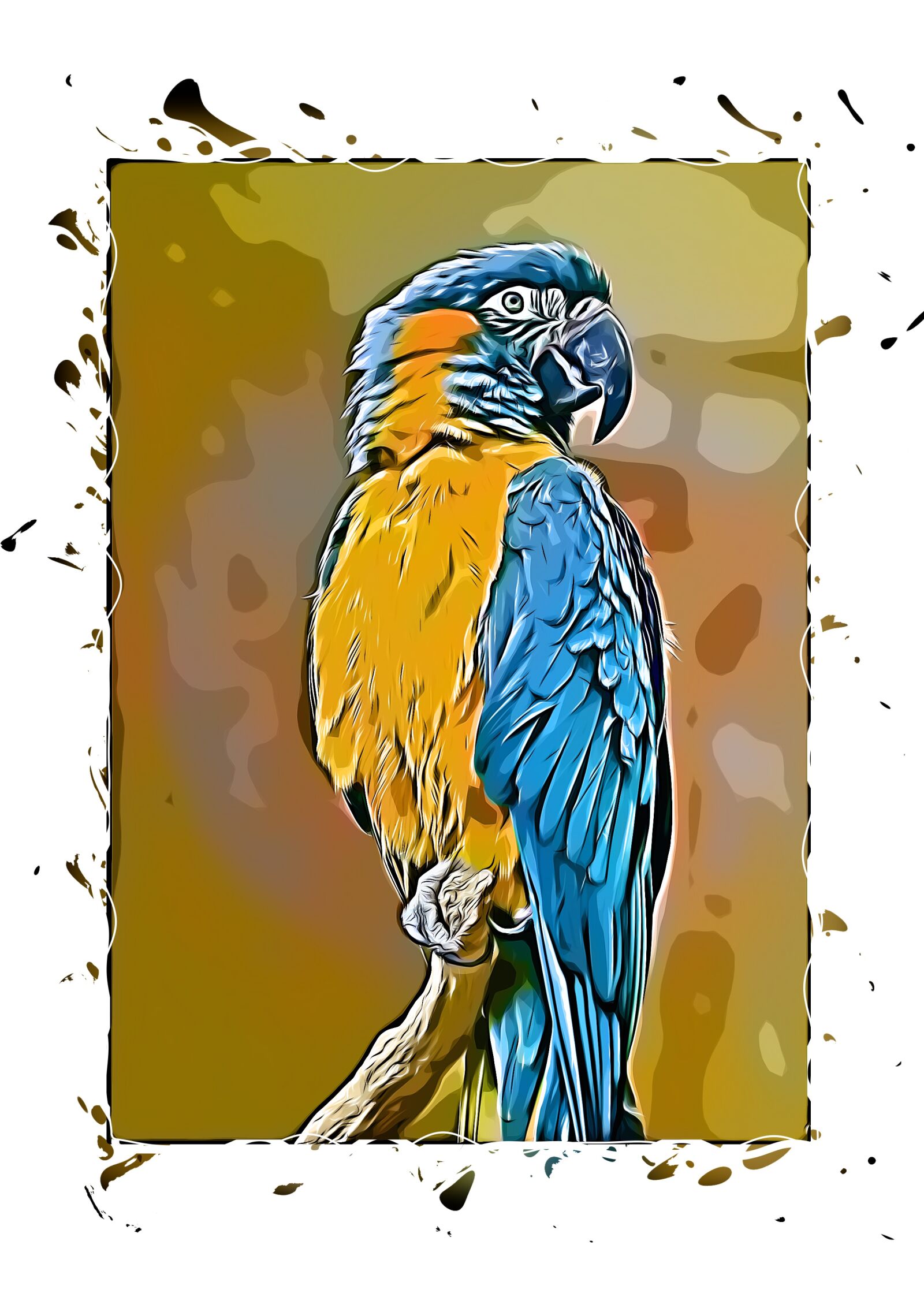 Nikon D7000 sample photo. Parrot, animal, bird photography