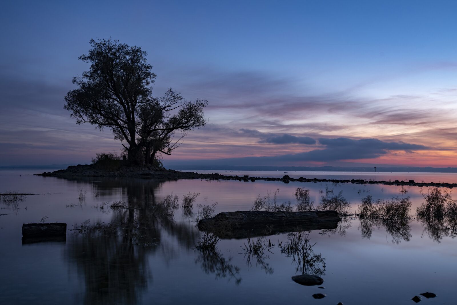 Nikon D850 sample photo. Hard, lake, tree photography