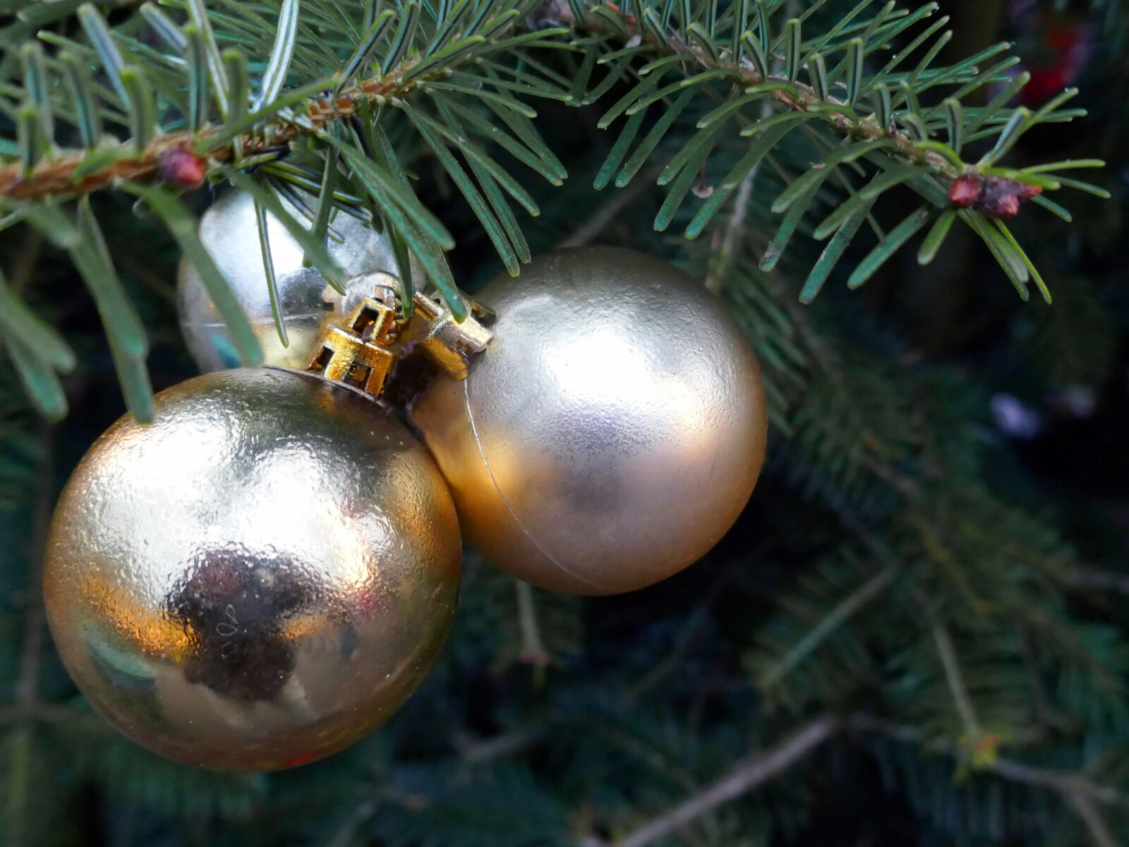 Panasonic DMC-TZ101 sample photo. Christmas, balls, fir tree photography