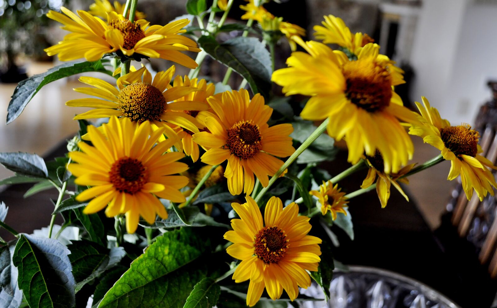 Nikon D5000 sample photo. Flowers, ornament, decorative photography