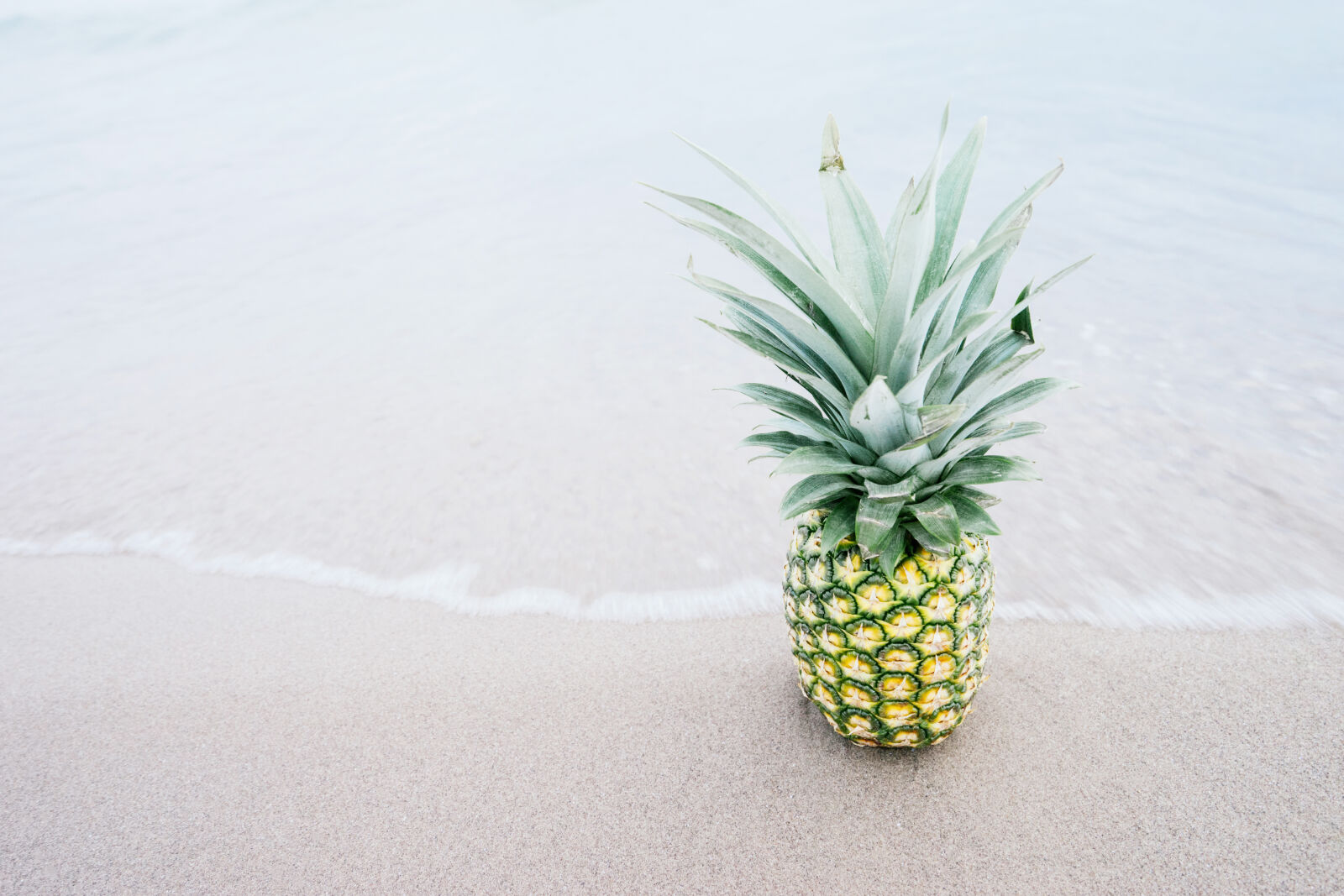 Sony a7 II + Sony Vario-Tessar T* FE 16-35mm F4 ZA OSS sample photo. Pineapple, fruit, on, shore photography