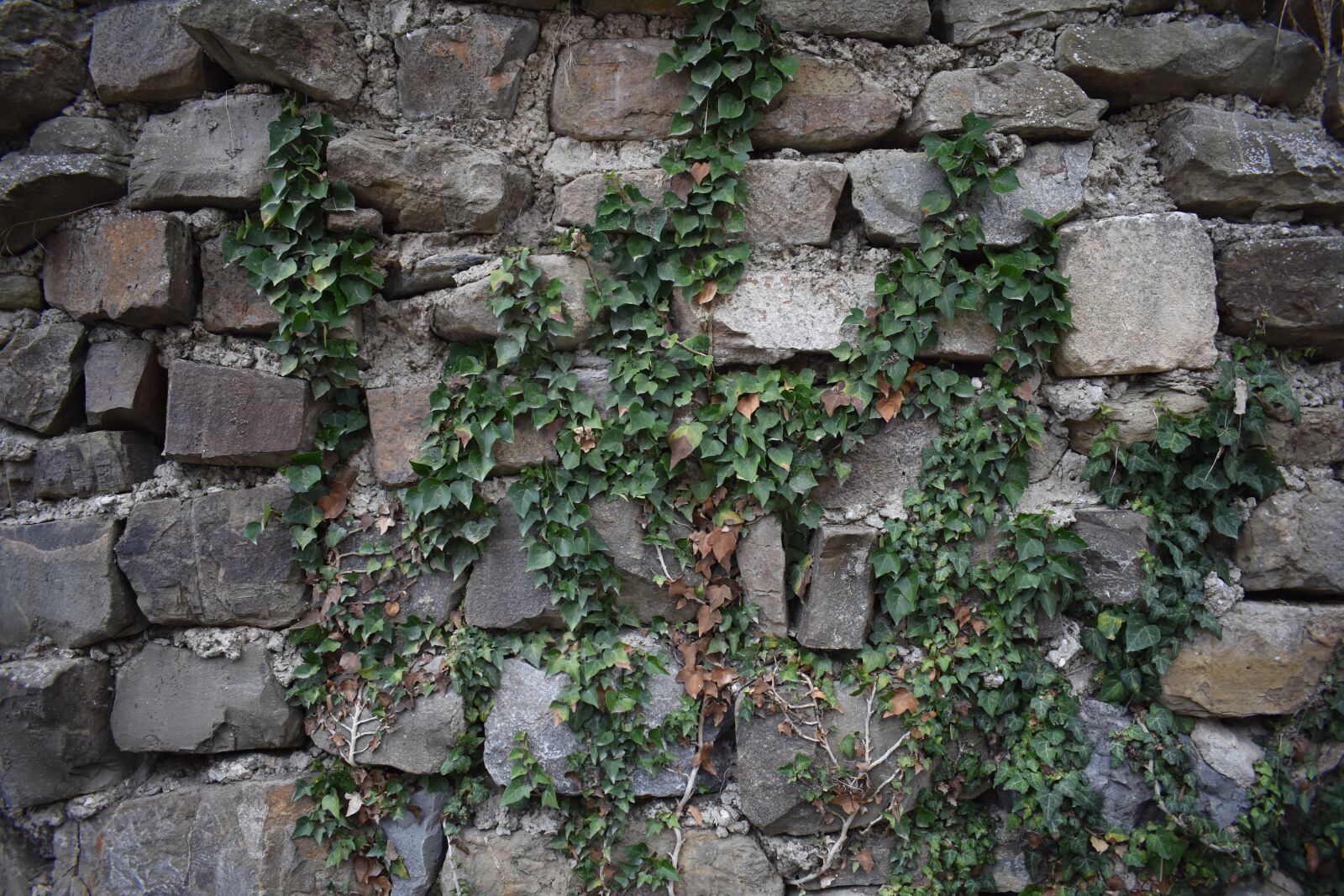 Nikon D3400 sample photo. Background, wall, stones photography