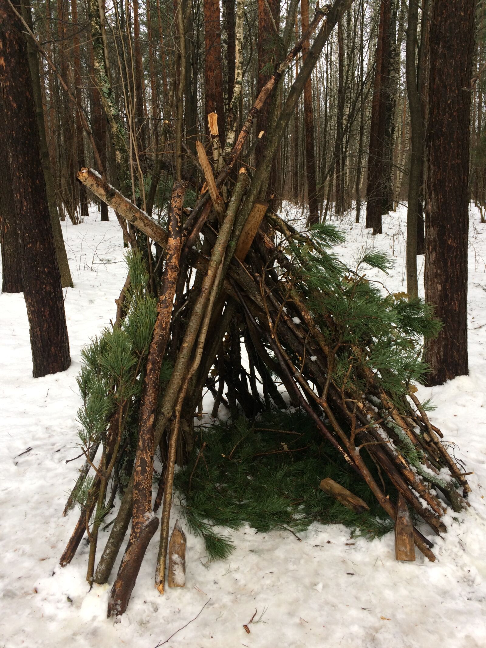iPhone 5s back camera 4.15mm f/2.2 sample photo. Winter, hut, forest photography