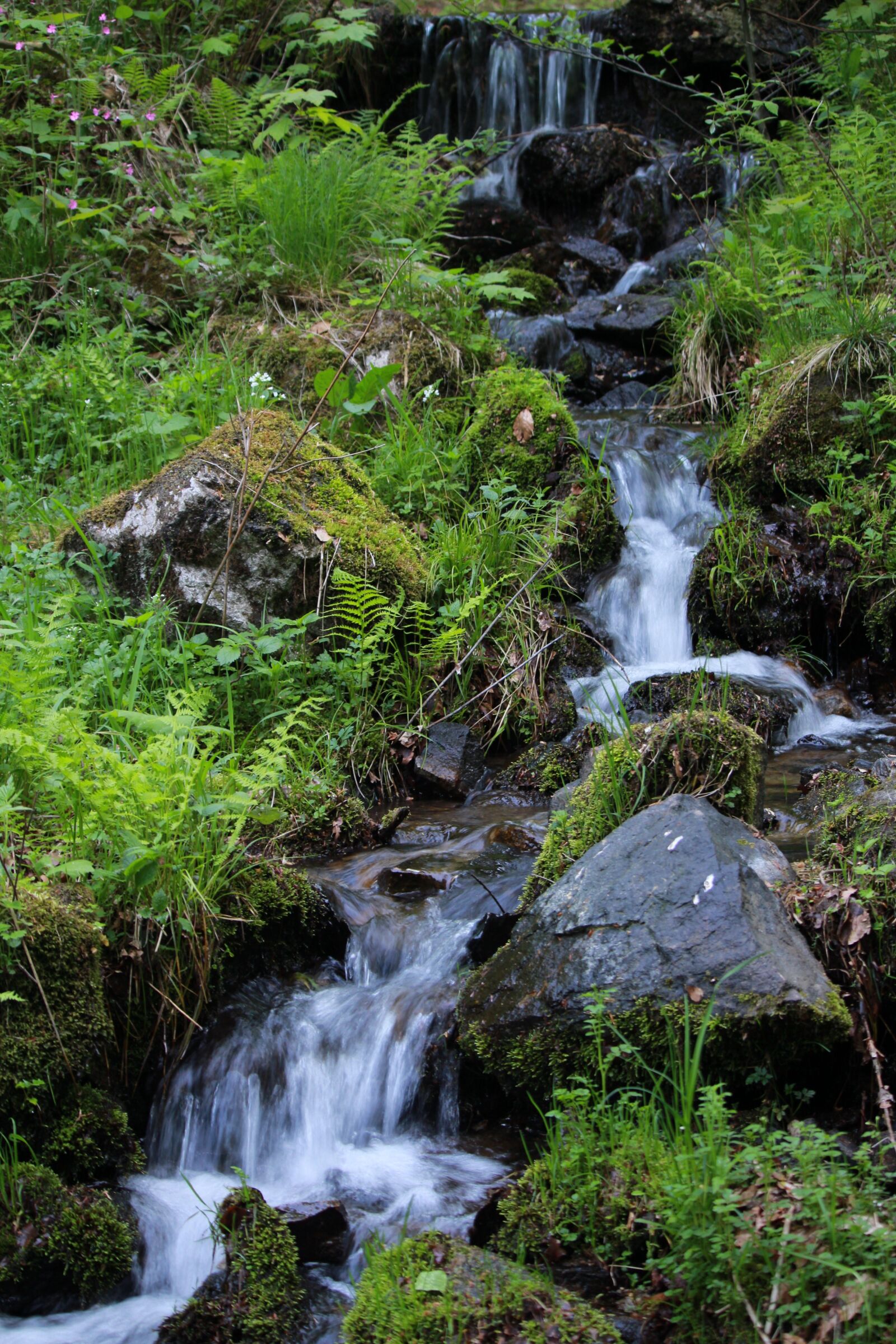 Canon EOS 100D (EOS Rebel SL1 / EOS Kiss X7) sample photo. Nature, waterfall, the beauty photography