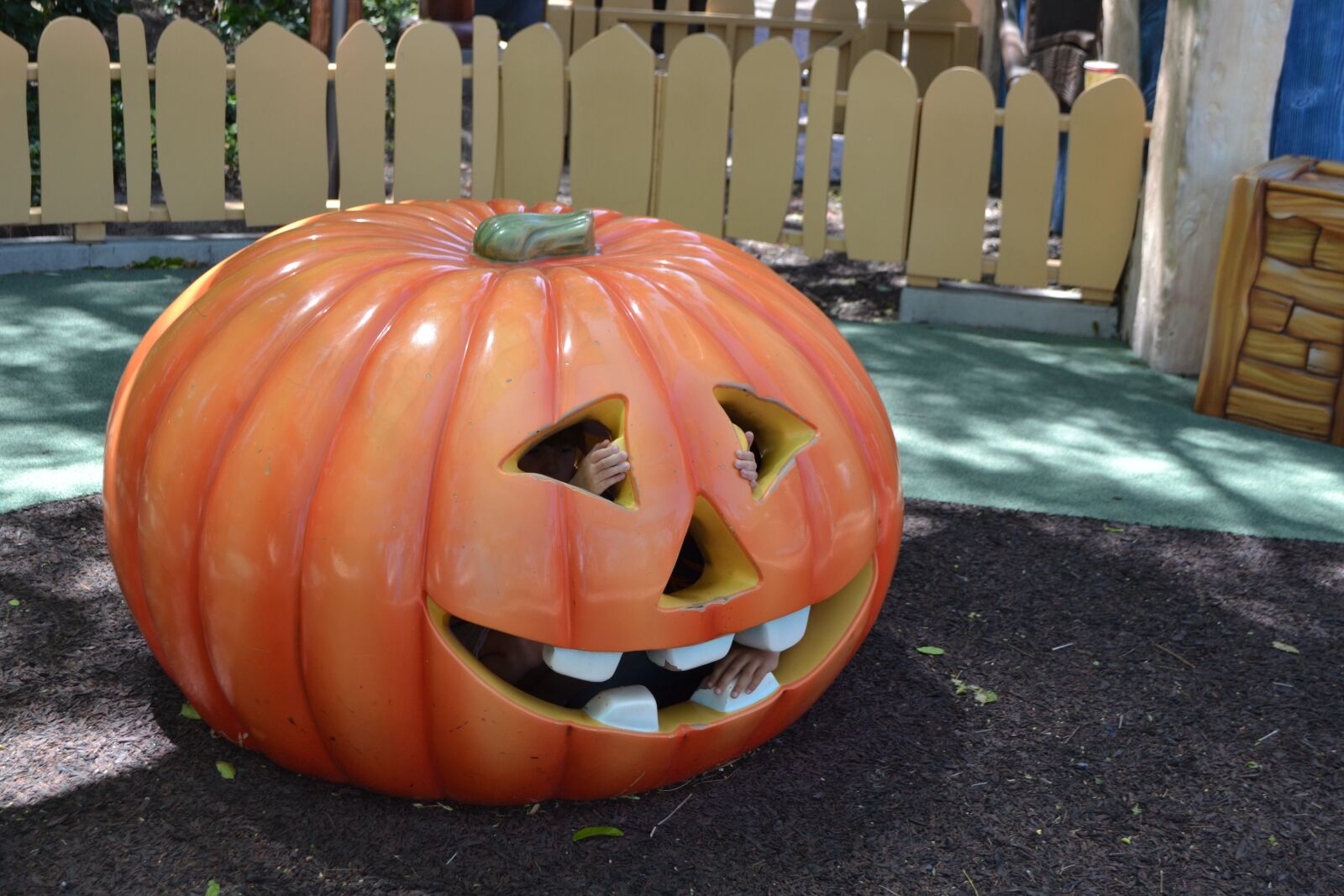 Nikon D3100 sample photo. Pumpkin, vegetable, autumn photography