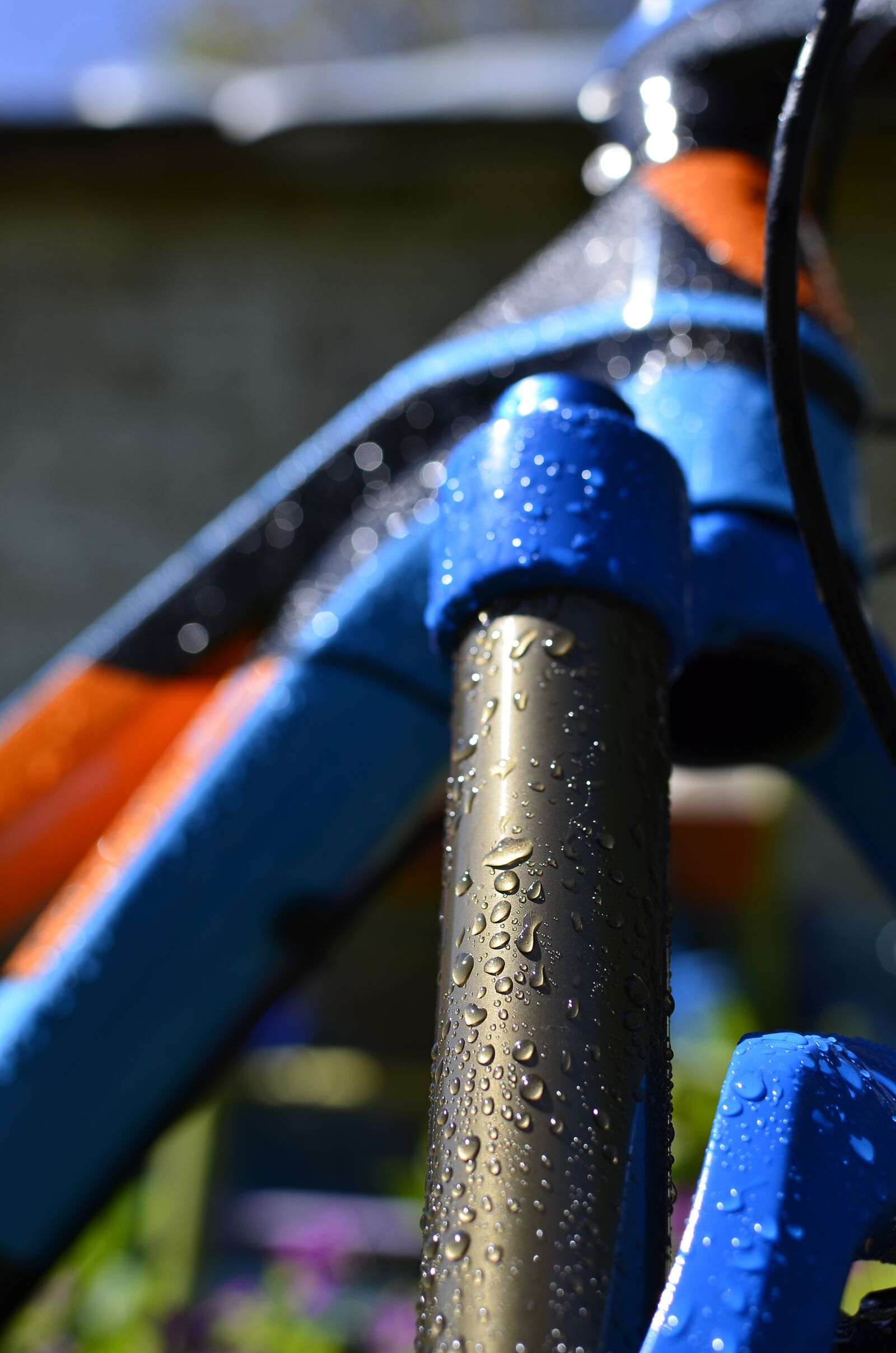 Nikon D7000 sample photo. Bike, fox, shimano photography