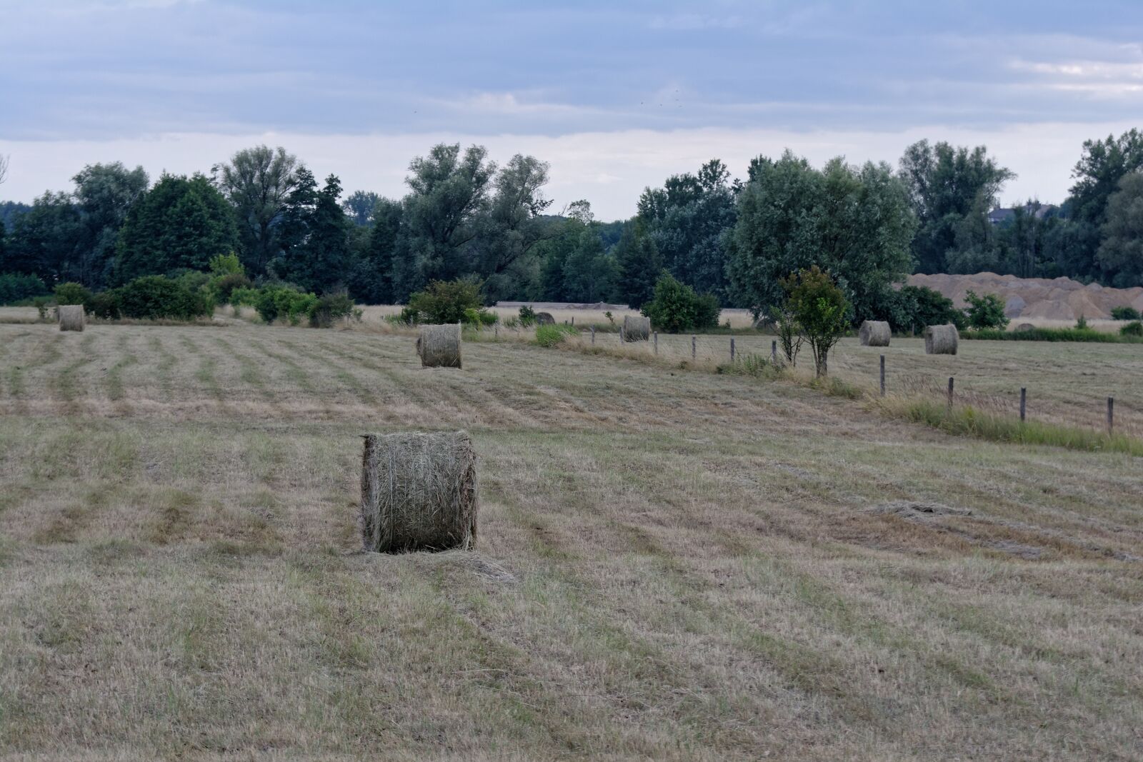 Nikon D5200 sample photo. Field, haymaking, hay photography