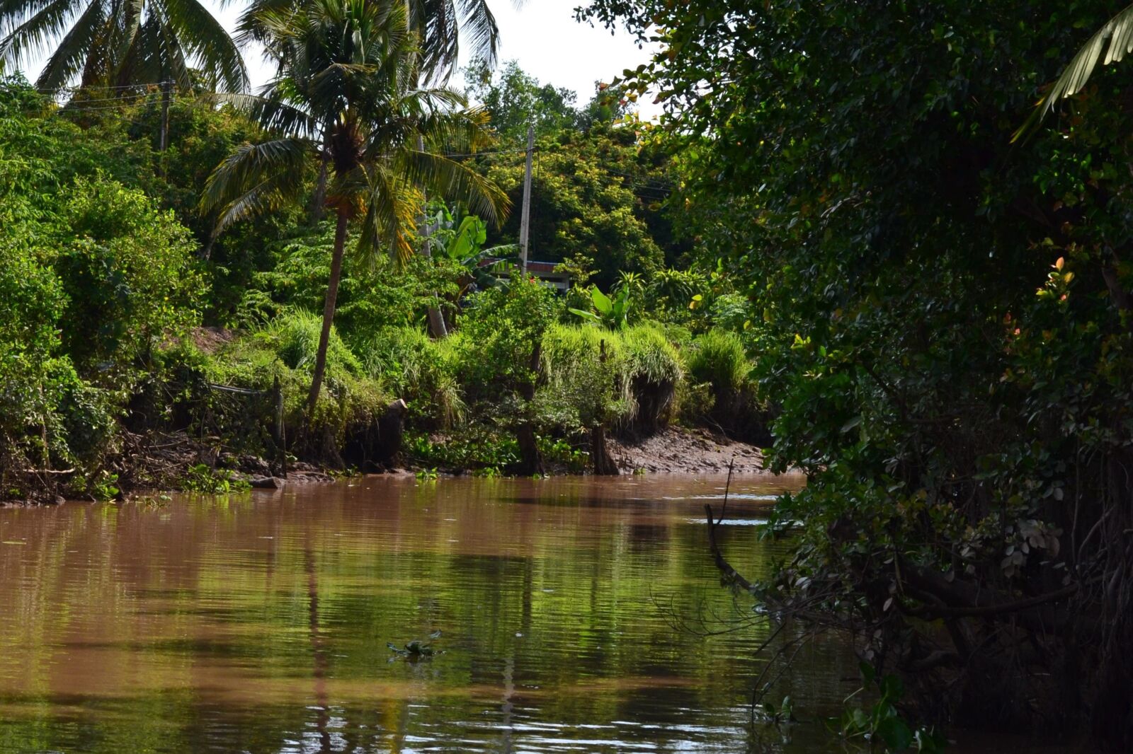 Nikon D3100 sample photo. Mekong, river, viet nam photography