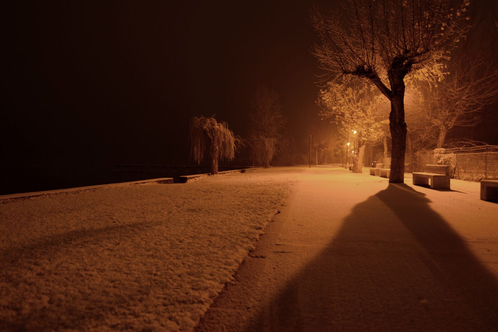 Nikon D610 sample photo. Snow, night, landscape photography