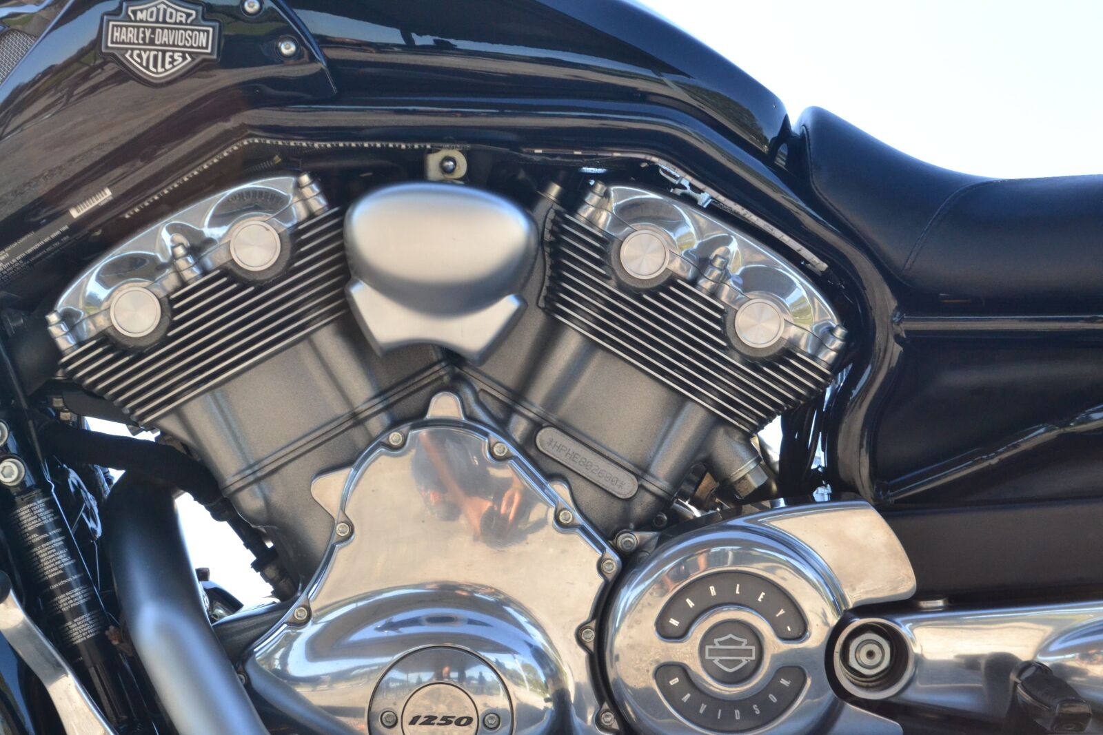 Nikon D3100 sample photo. Harley davidson, motorcycle, engine photography