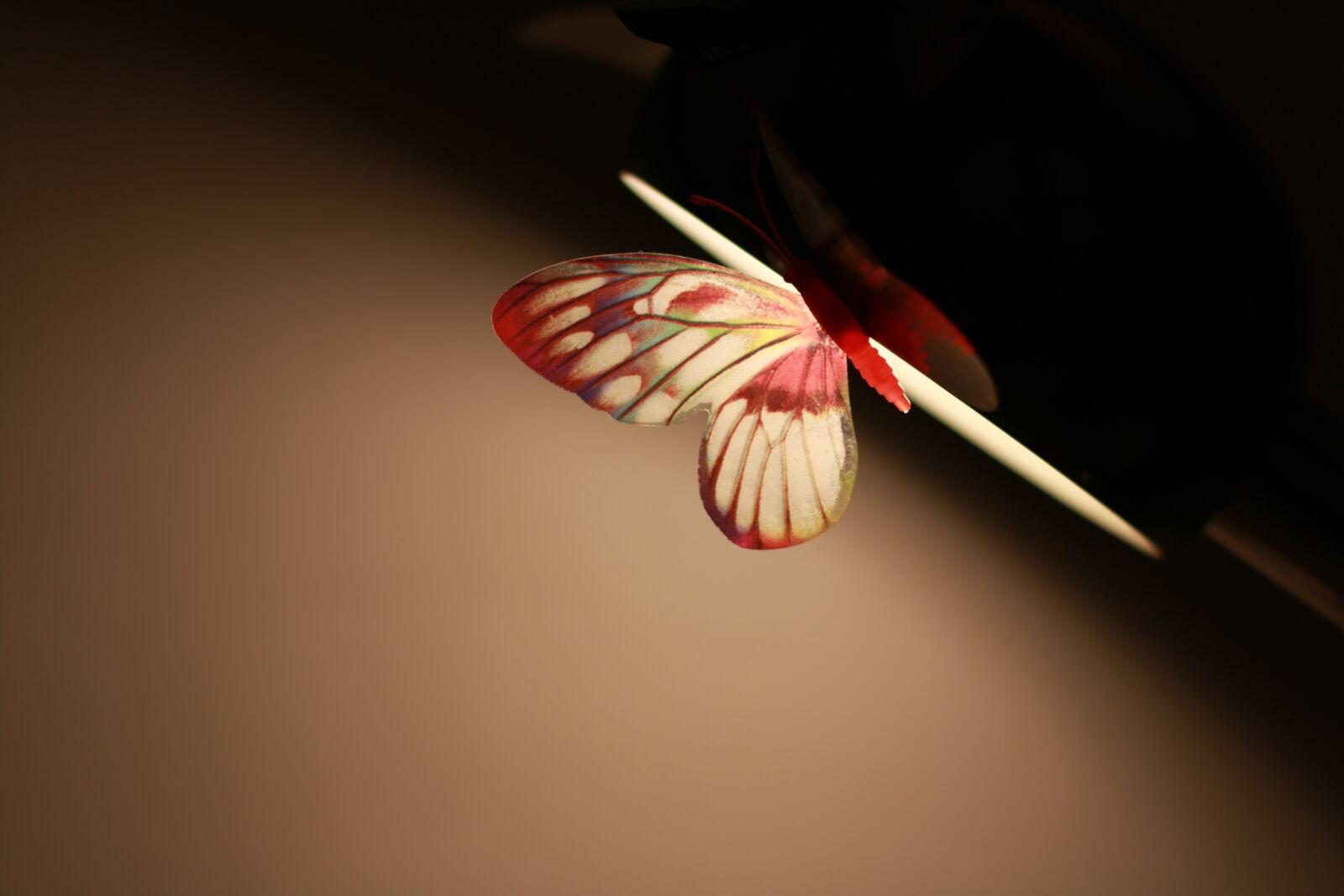 Canon EOS 70D + Canon EF 50mm F1.4 USM sample photo. Lamp, butterfly, table lamp photography
