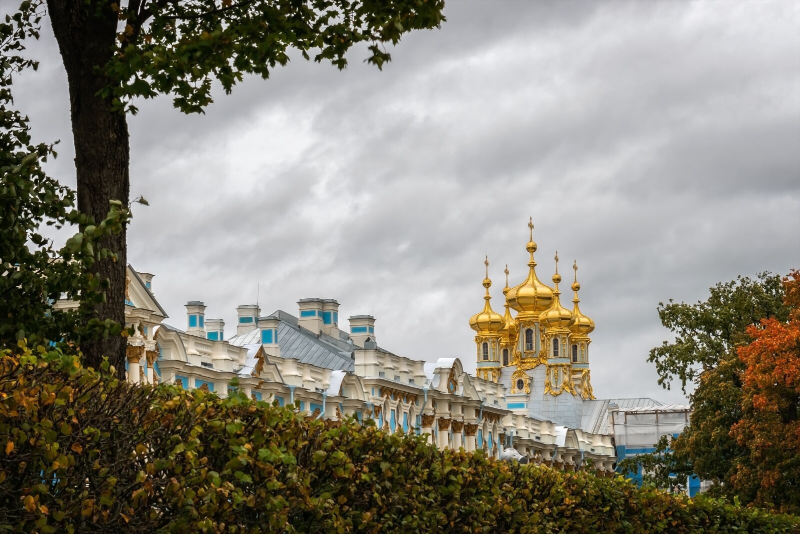 Nikon D3300 sample photo. Catherine's palace, st petersburg photography