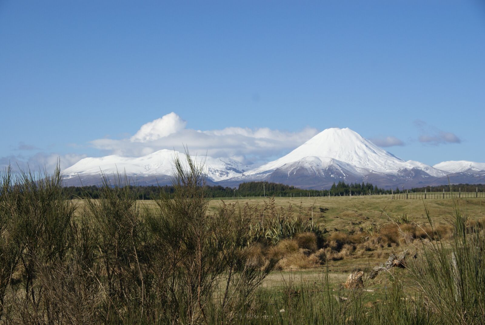 Sony Alpha DSLR-A100 sample photo. August 2009, tongariro np, nz photography