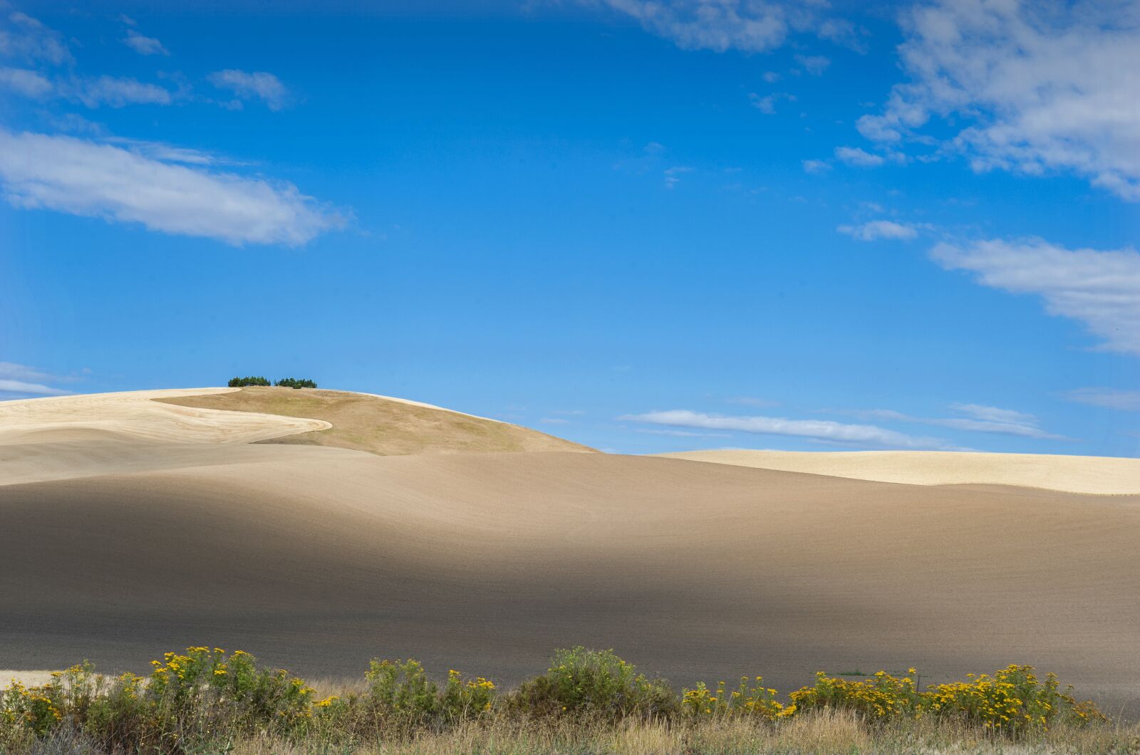 Nikon D700 sample photo. Hills, wheat, landscape photography