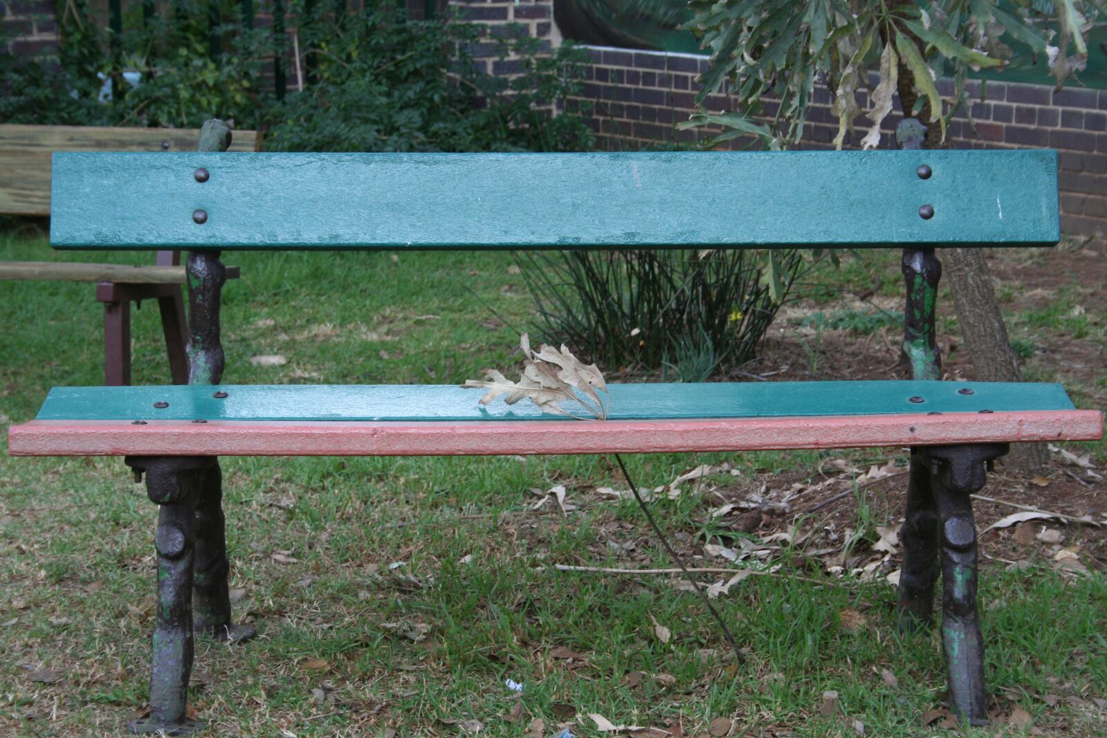 Canon EOS 350D (EOS Digital Rebel XT / EOS Kiss Digital N) sample photo. Bench, park, sit photography