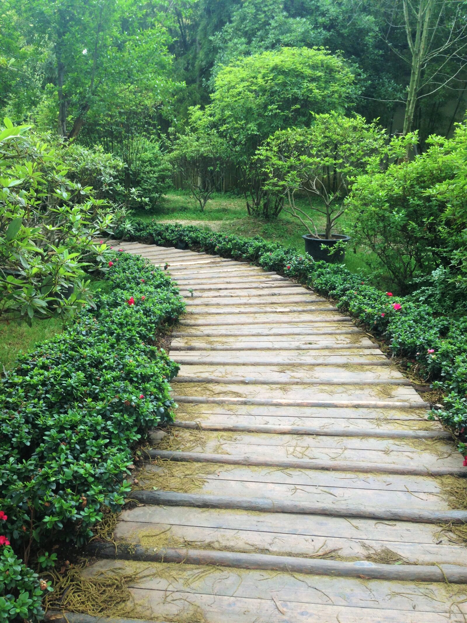 iPhone 5 back camera 4.12mm f/2.4 sample photo. Path, garden, landscape photography
