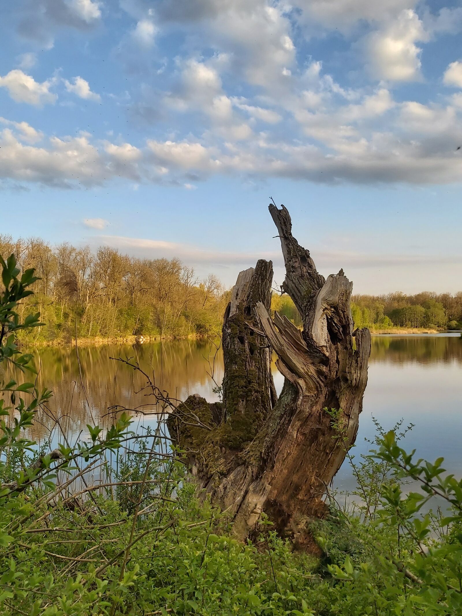 Samsung Galaxy A70 sample photo. Nature, seascape, lake photography