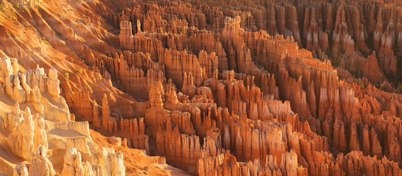 Canon EOS 5D Mark II sample photo. Bryce canyon, rock formations photography
