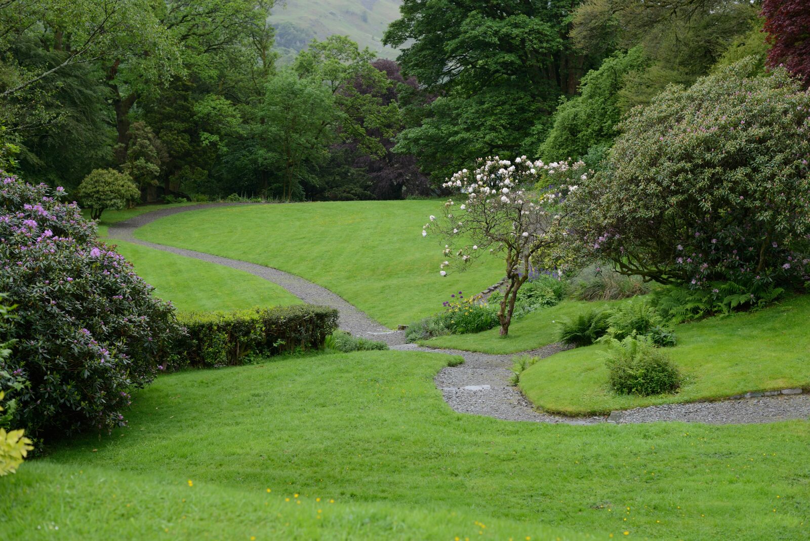 Nikon D800 sample photo. English, garden, path photography