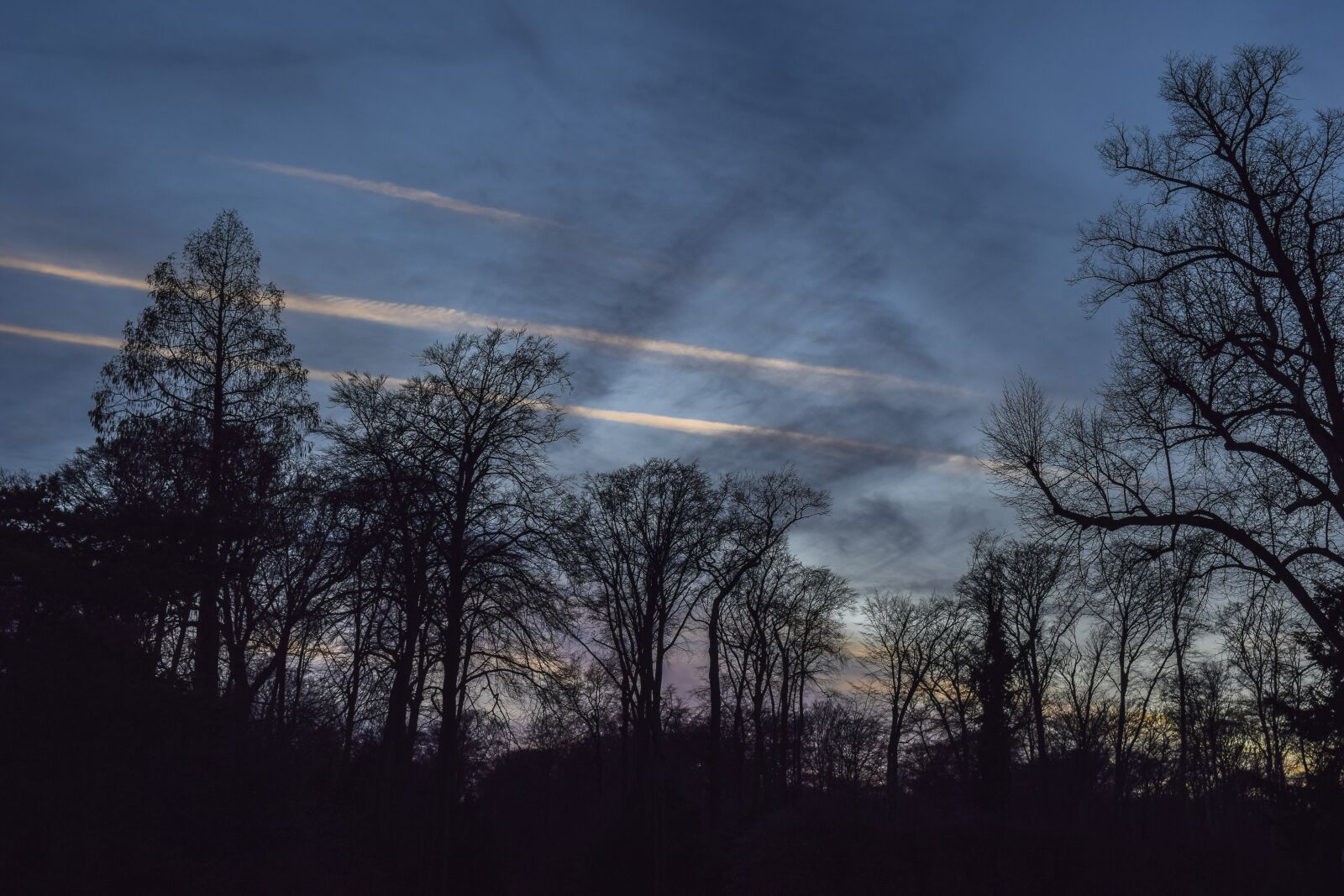Nikon D3300 sample photo. Forest, landscape, nature photography