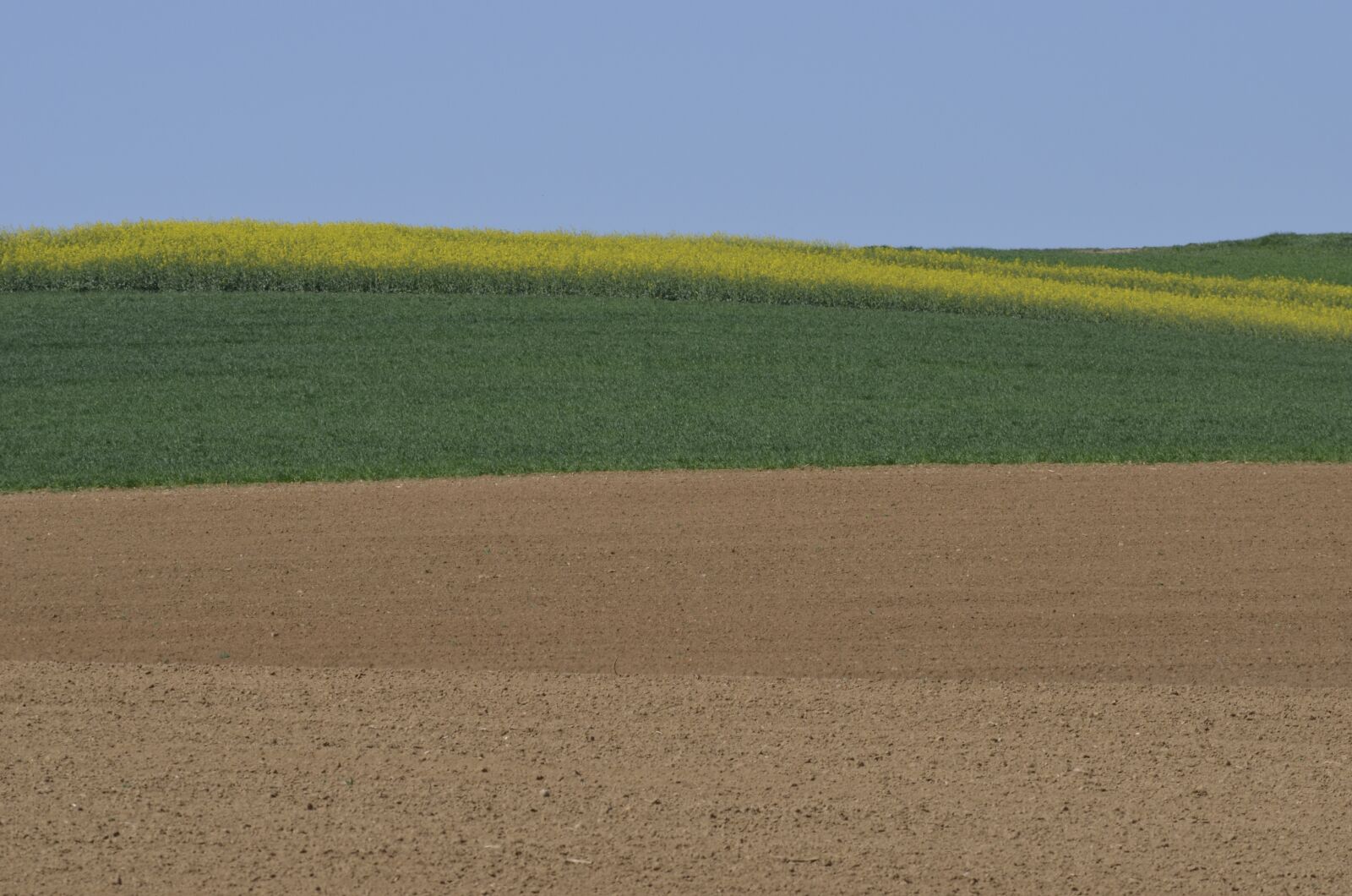 Nikon D5100 sample photo. Spring, fields, agriculture photography