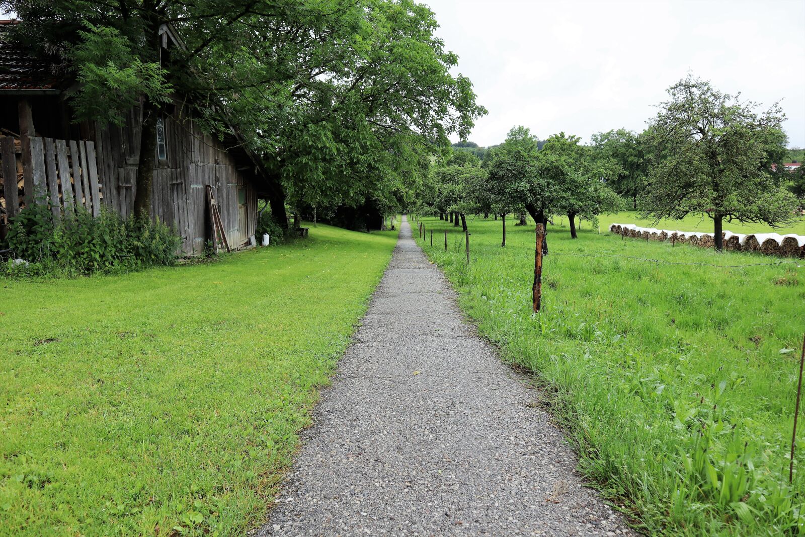 Canon EOS M50 (EOS Kiss M) sample photo. Nature, away, trail photography