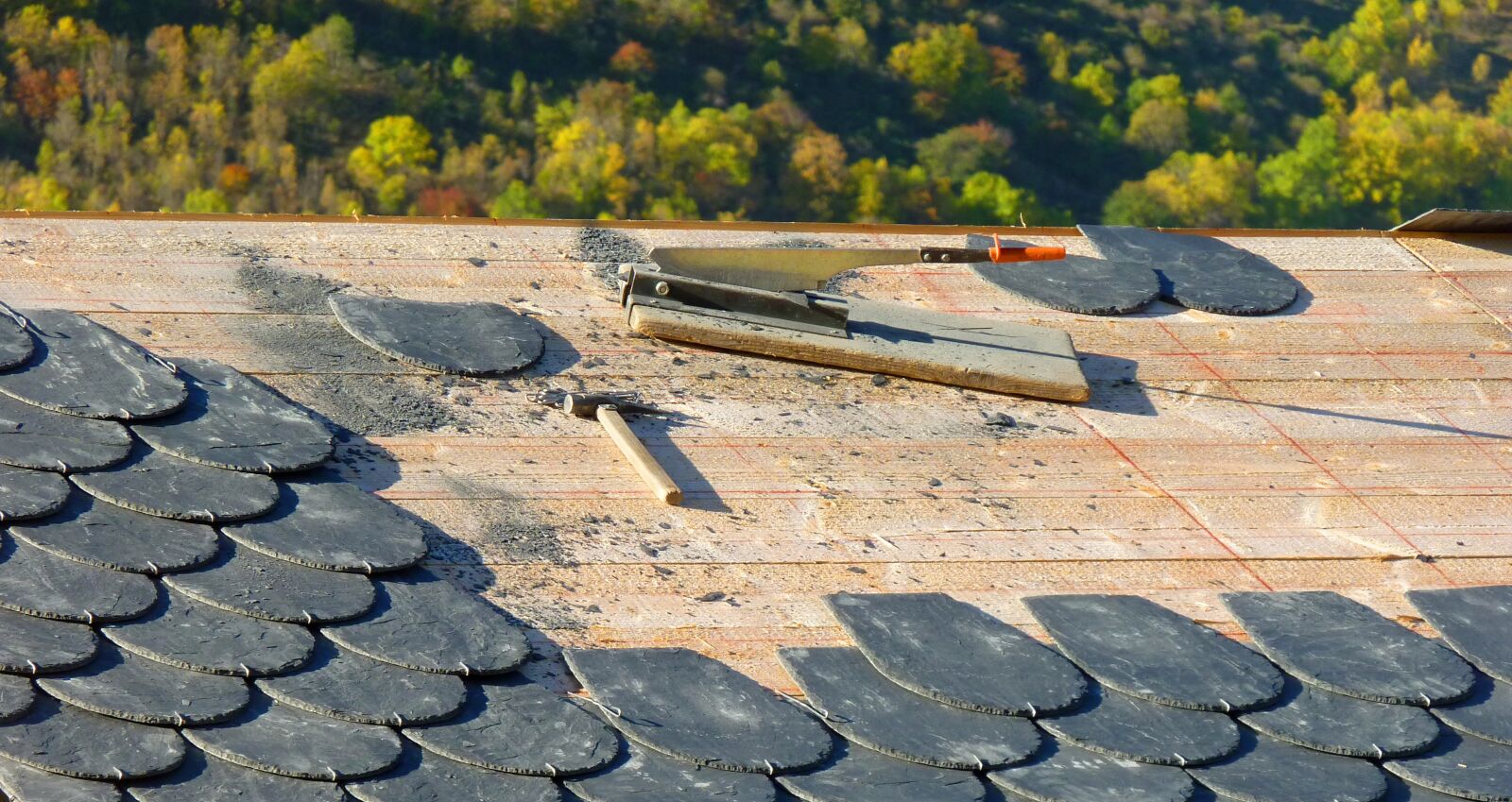 Panasonic Lumix DMC-FZ35 (Lumix DMC-FZ38) sample photo. Roofing, carpenter, roofer photography