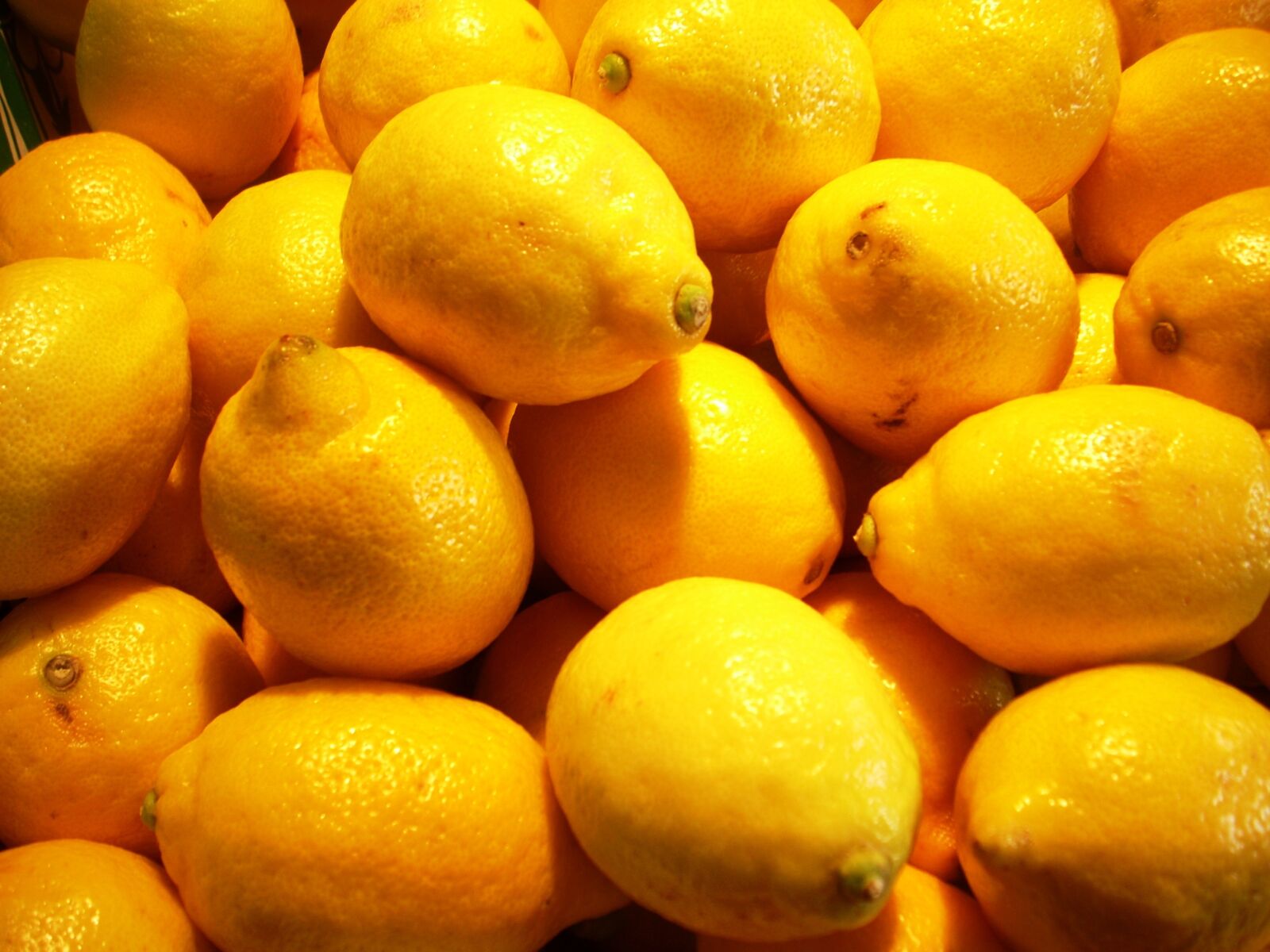 Nikon COOLPIX L11 sample photo. Lemon, lemons, citrus photography
