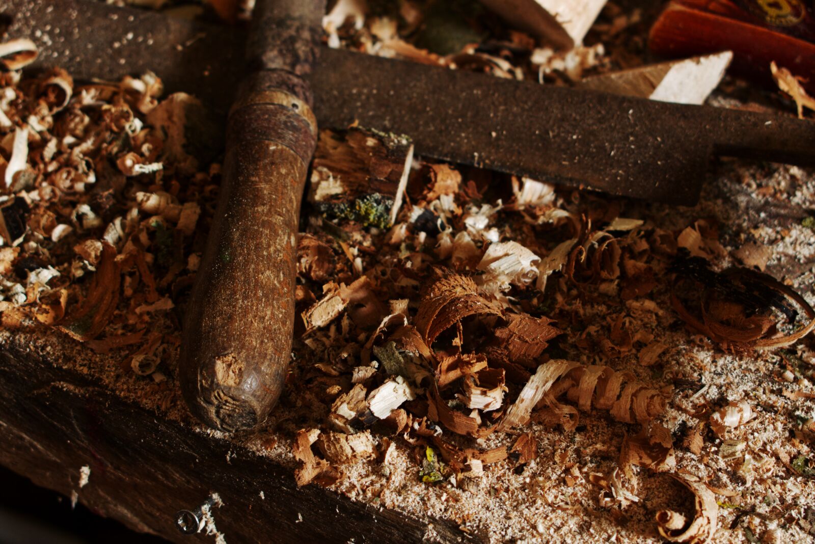 Nikon D3300 sample photo. Work bench, woodworks, wood photography