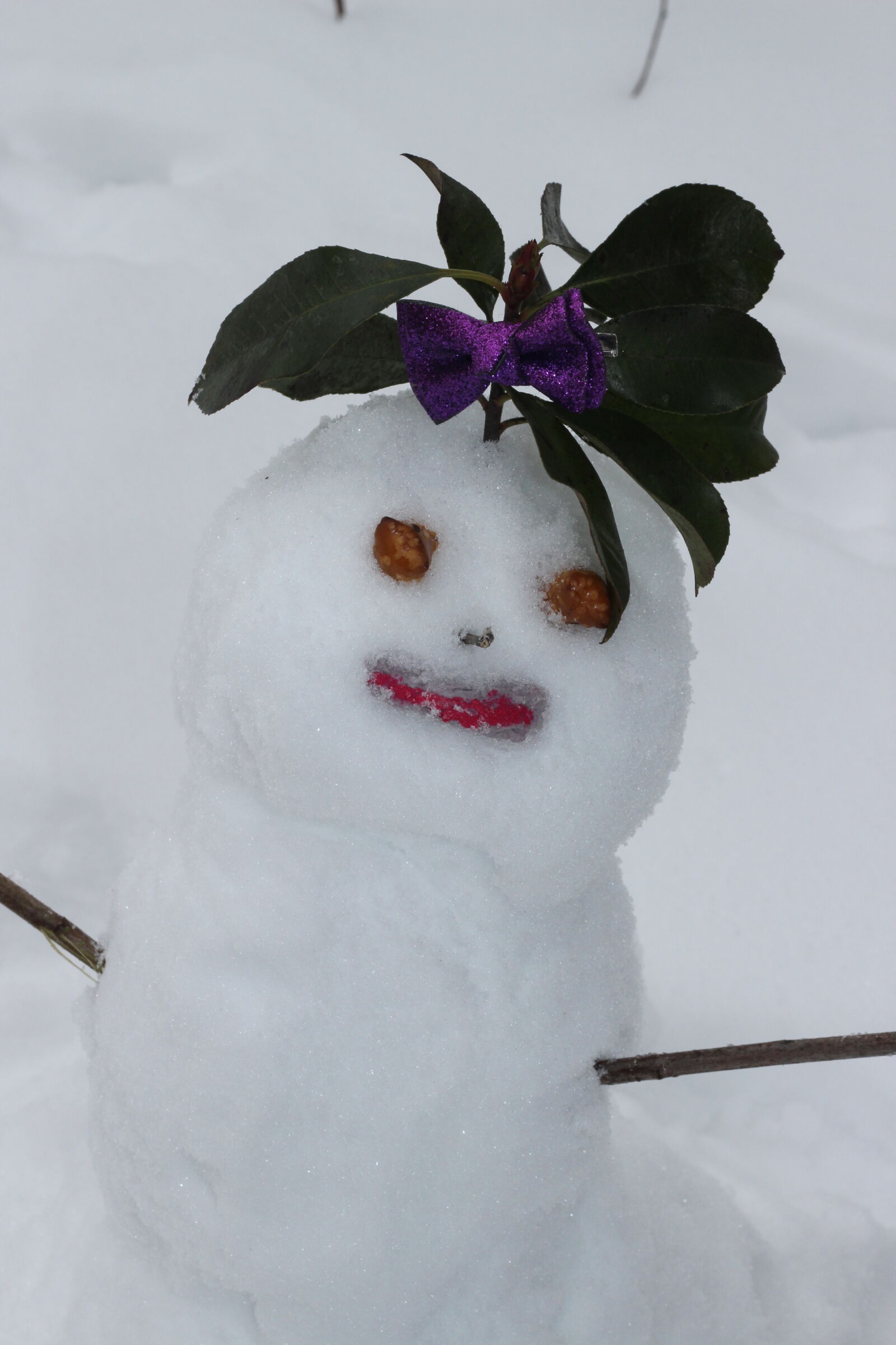 Canon EOS 600D (Rebel EOS T3i / EOS Kiss X5) + Canon EF 50mm F1.8 II sample photo. Snow, snowman, snowwoman photography