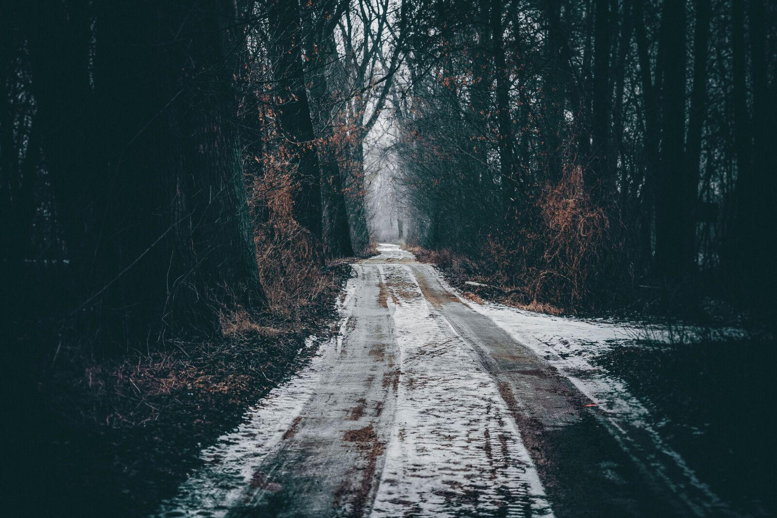 Canon EOS 6D sample photo. Way, the path, nature photography
