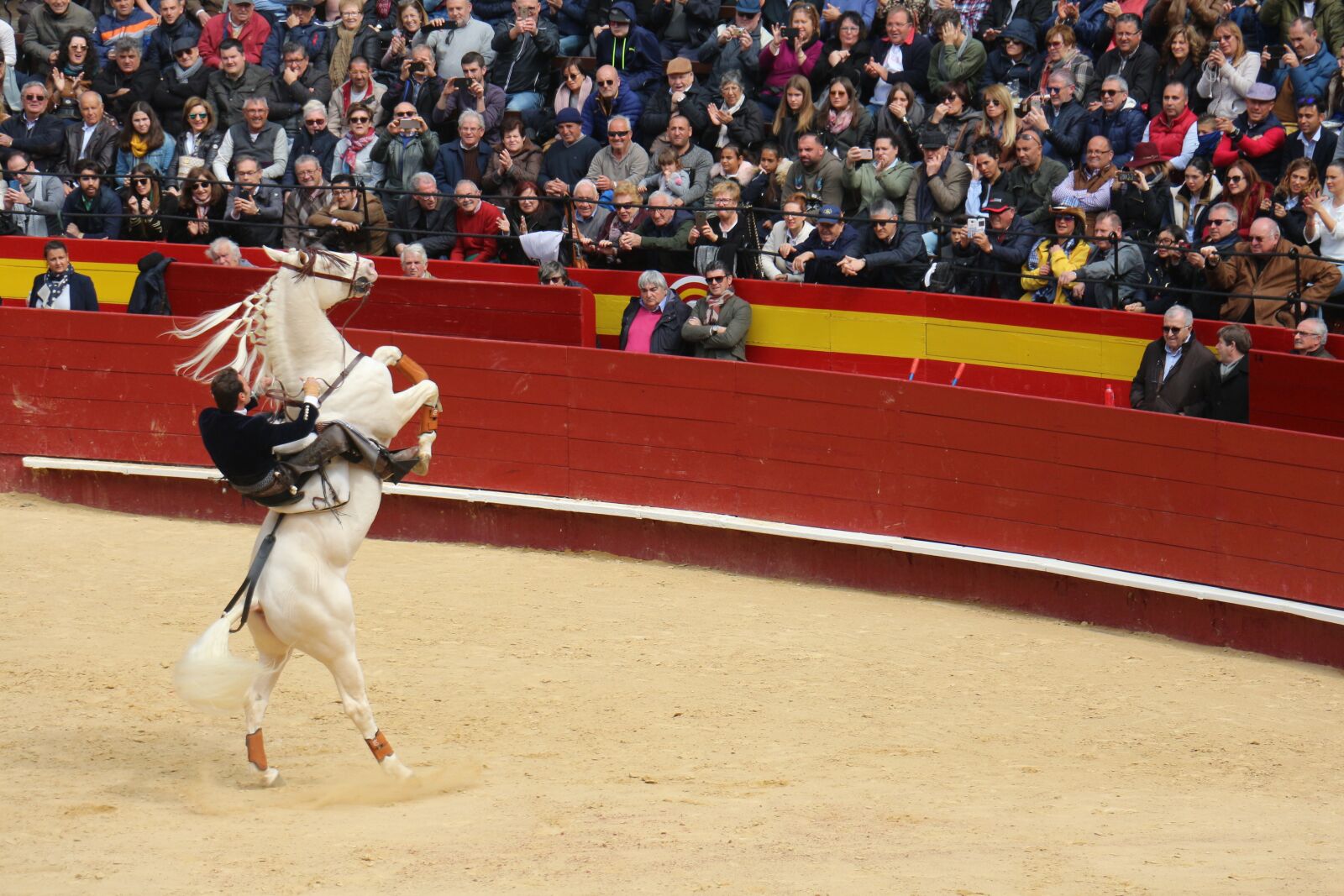 Canon EOS 700D (EOS Rebel T5i / EOS Kiss X7i) sample photo. Torero, bullring, rejoneador photography