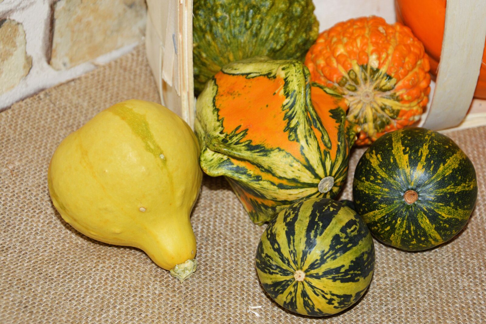 Nikon D3200 sample photo. Pumpkins, decorative squashes, decoration photography
