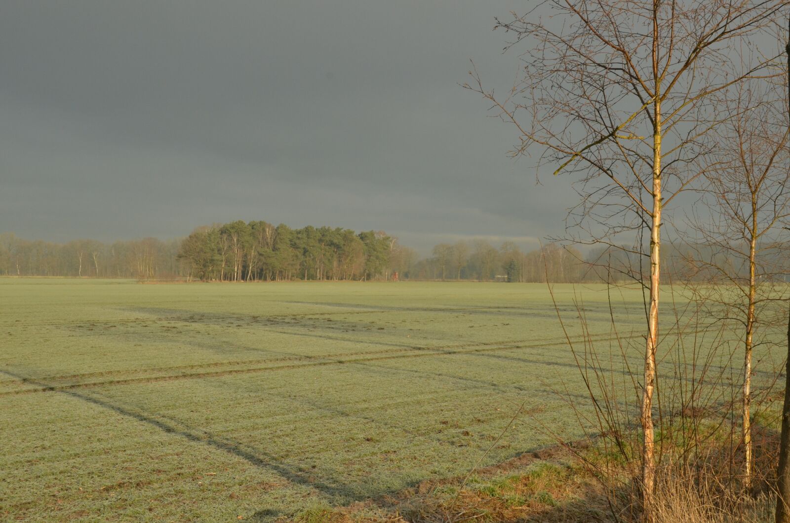 Nikon D7000 sample photo. Fog, mist, morning photography