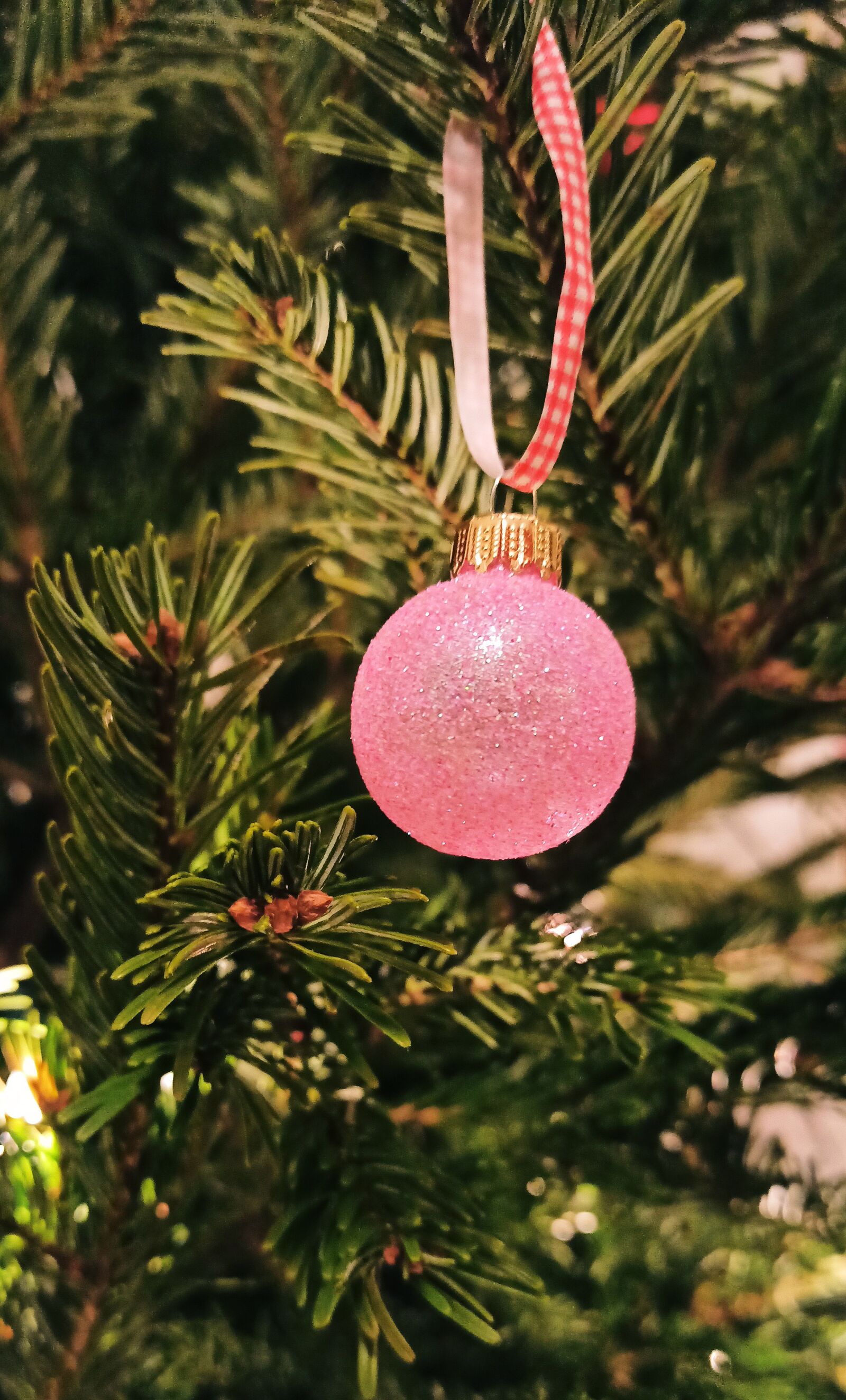 Xiaomi Redmi Note 8 Pro sample photo. Christmas bauble, fir green photography