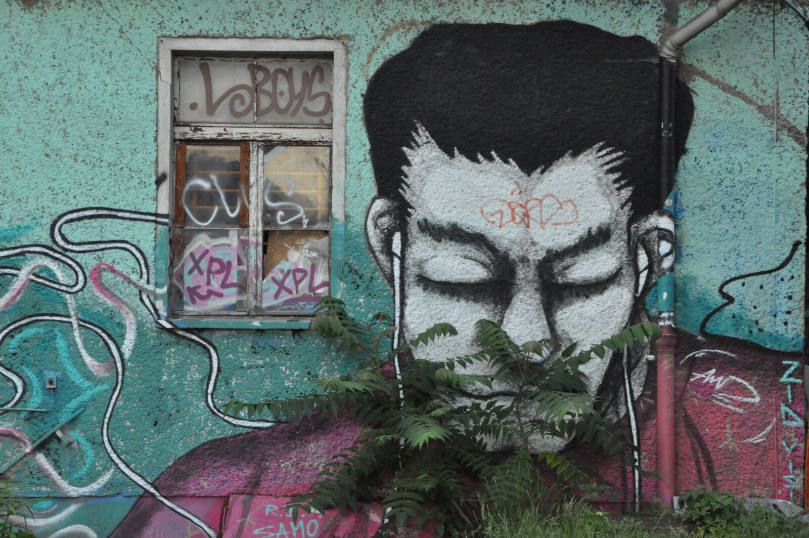 Nikon D5000 sample photo. Street art, graffiti, wall photography