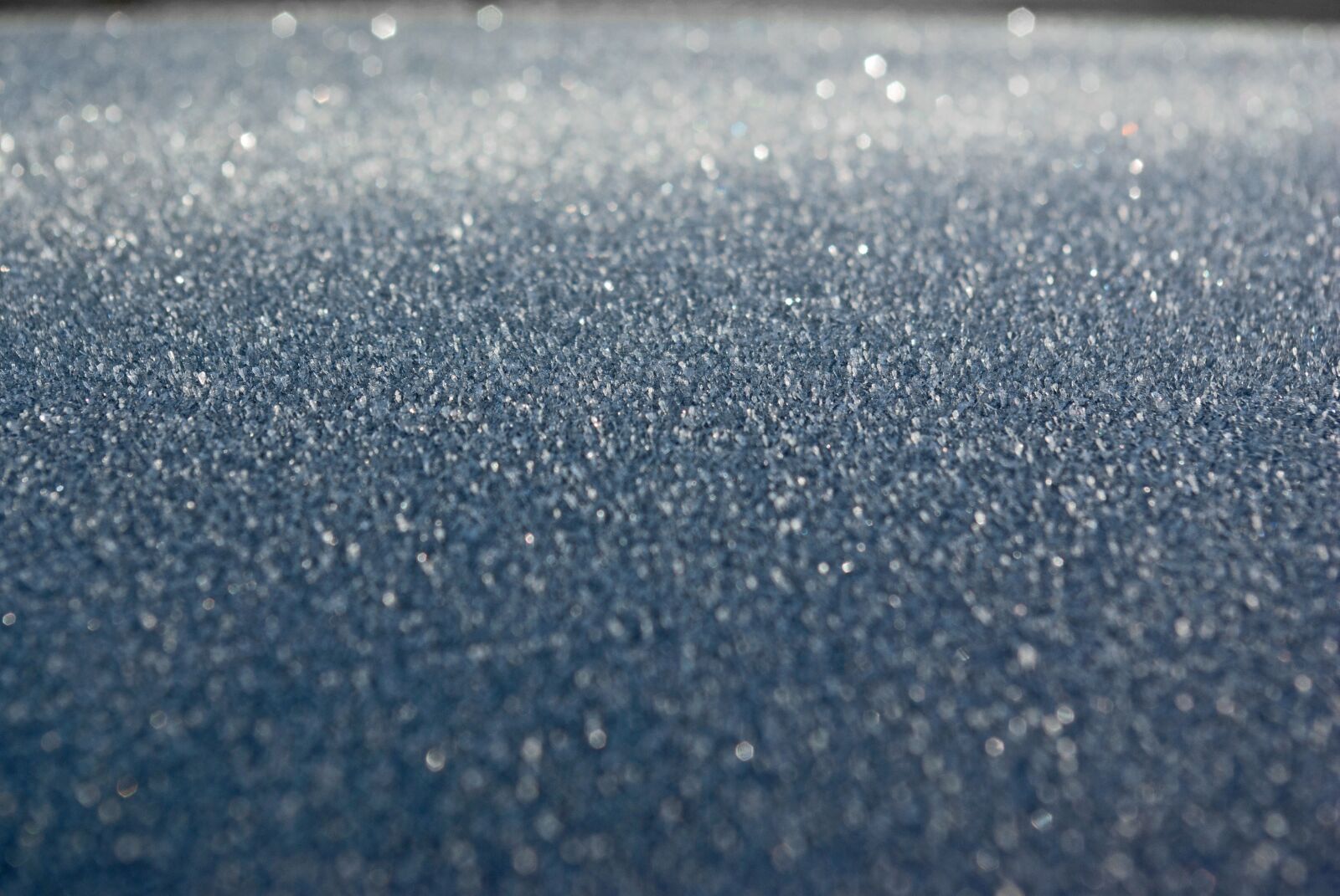 Pentax K10D sample photo. Frost, ice, freeze photography