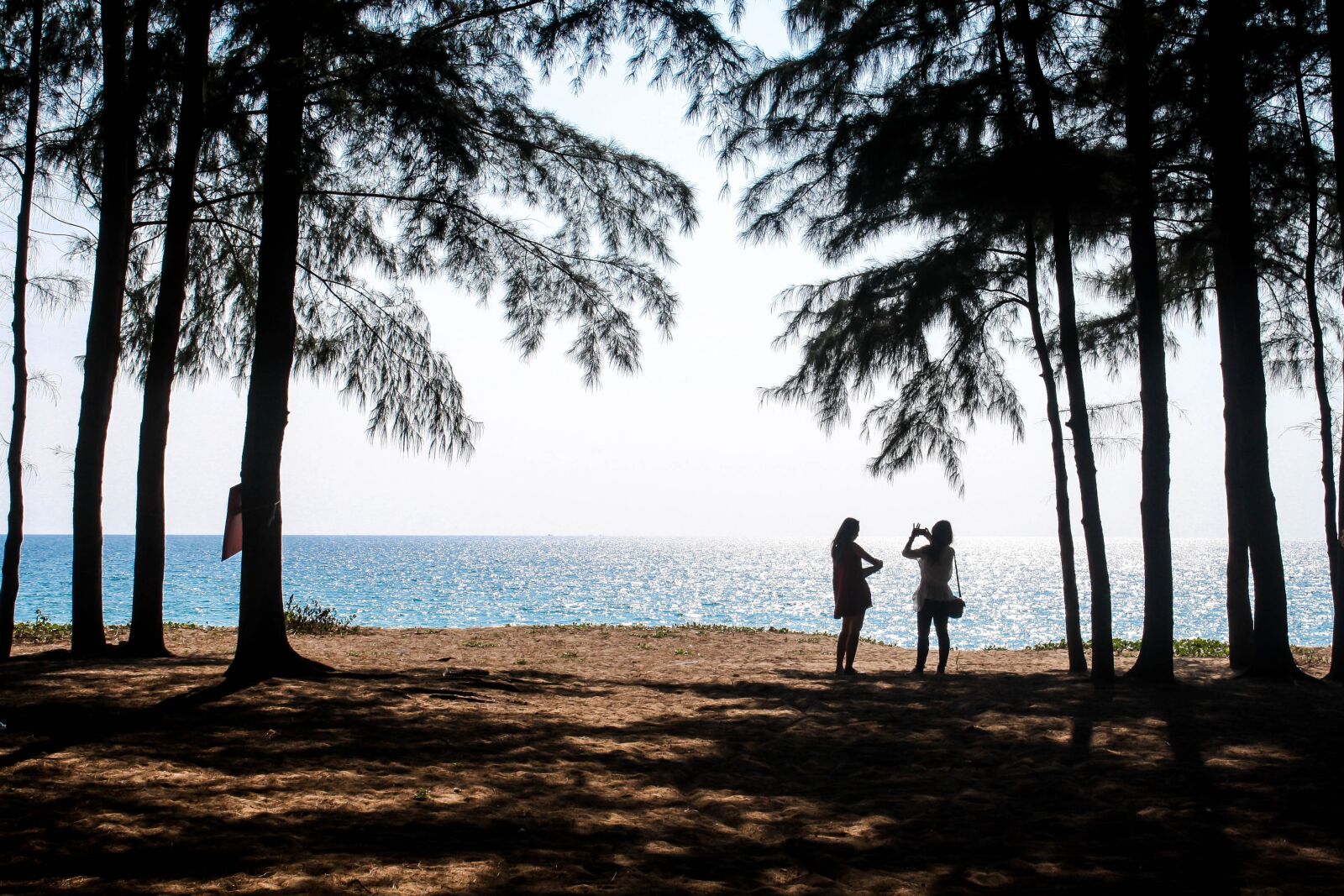 Canon EOS 1000D (EOS Digital Rebel XS / EOS Kiss F) sample photo. Beach, ocean, sea photography