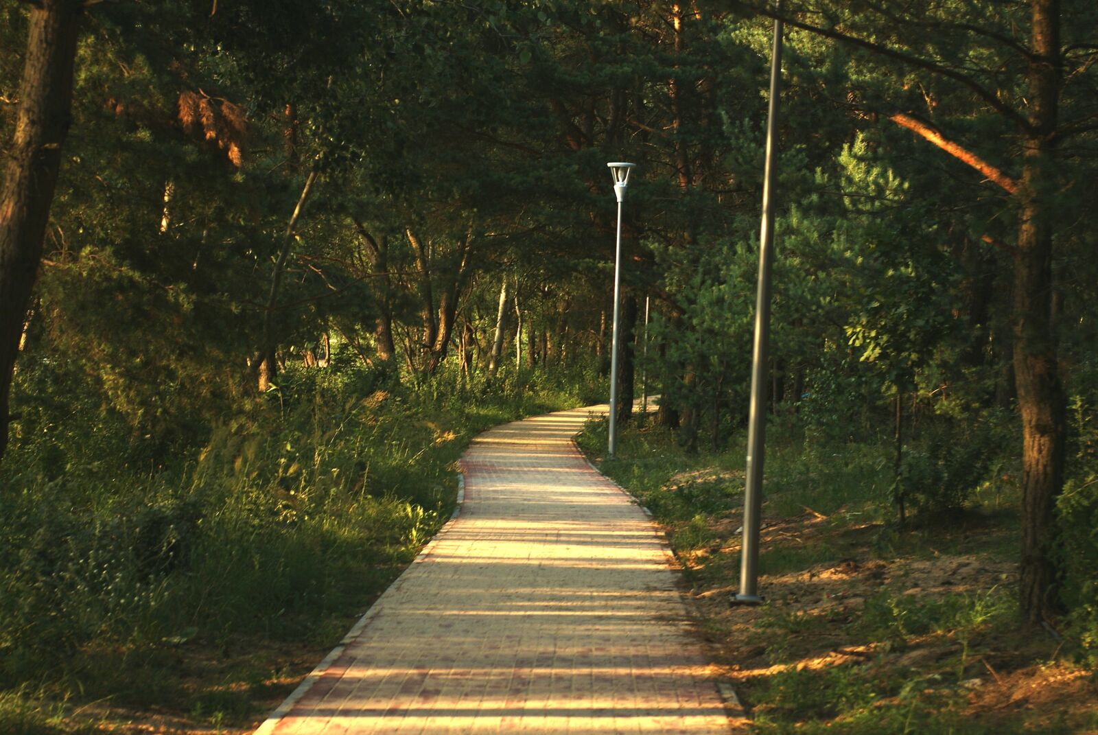 Sony Alpha DSLR-A200 sample photo. Walkway, landscape, city photography
