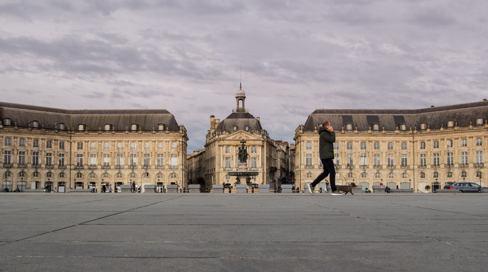 Nikon D610 sample photo. Bordeaux, france, dog photography
