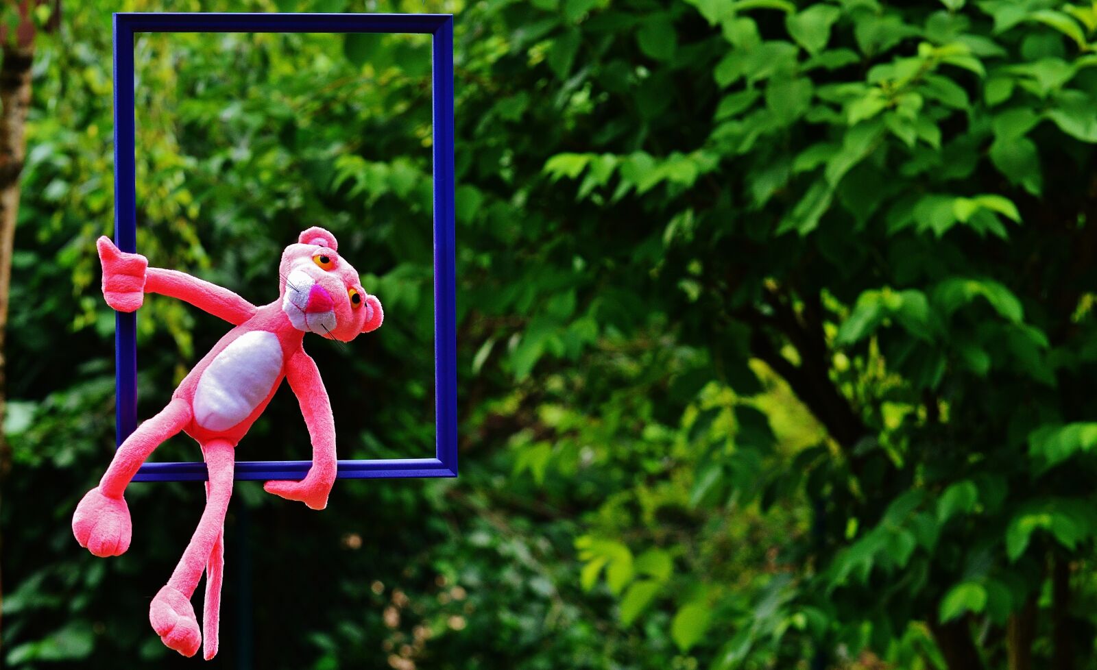 Nikon D3200 sample photo. Out of the ordinary photography