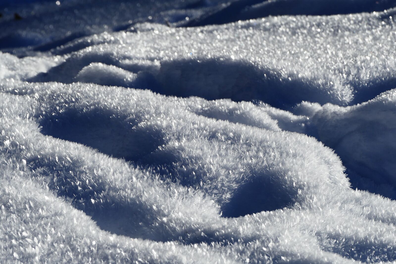 Panasonic Lumix DMC-FZ1000 sample photo. Eiskristalle, winter, cold photography