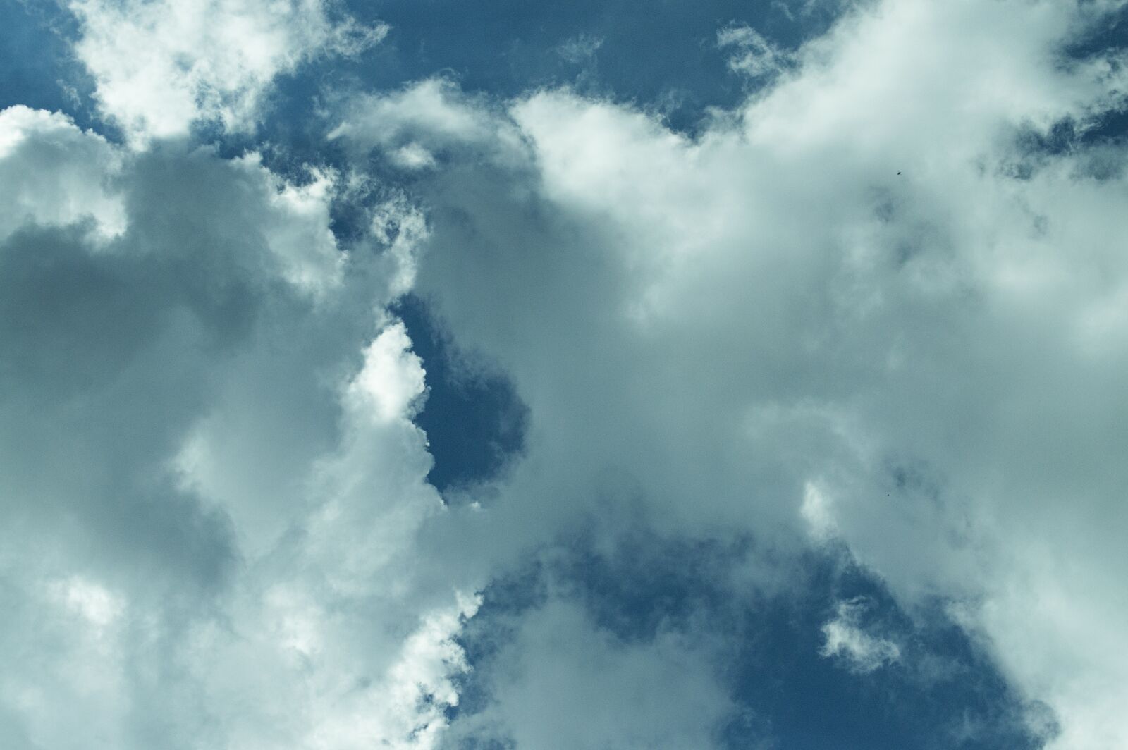 Nikon D3200 sample photo. Sky, blue, gruel photography