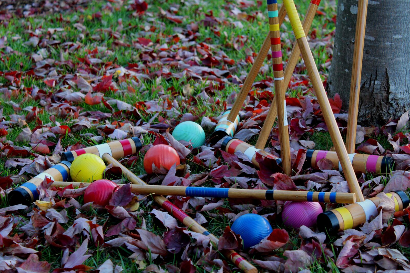 Canon EOS 1200D (EOS Rebel T5 / EOS Kiss X70 / EOS Hi) sample photo. Croquet, game, outdoors photography