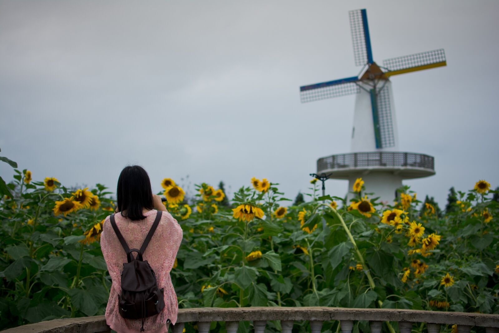 Nikon D7100 sample photo. Girls, sunflower, windmill photography