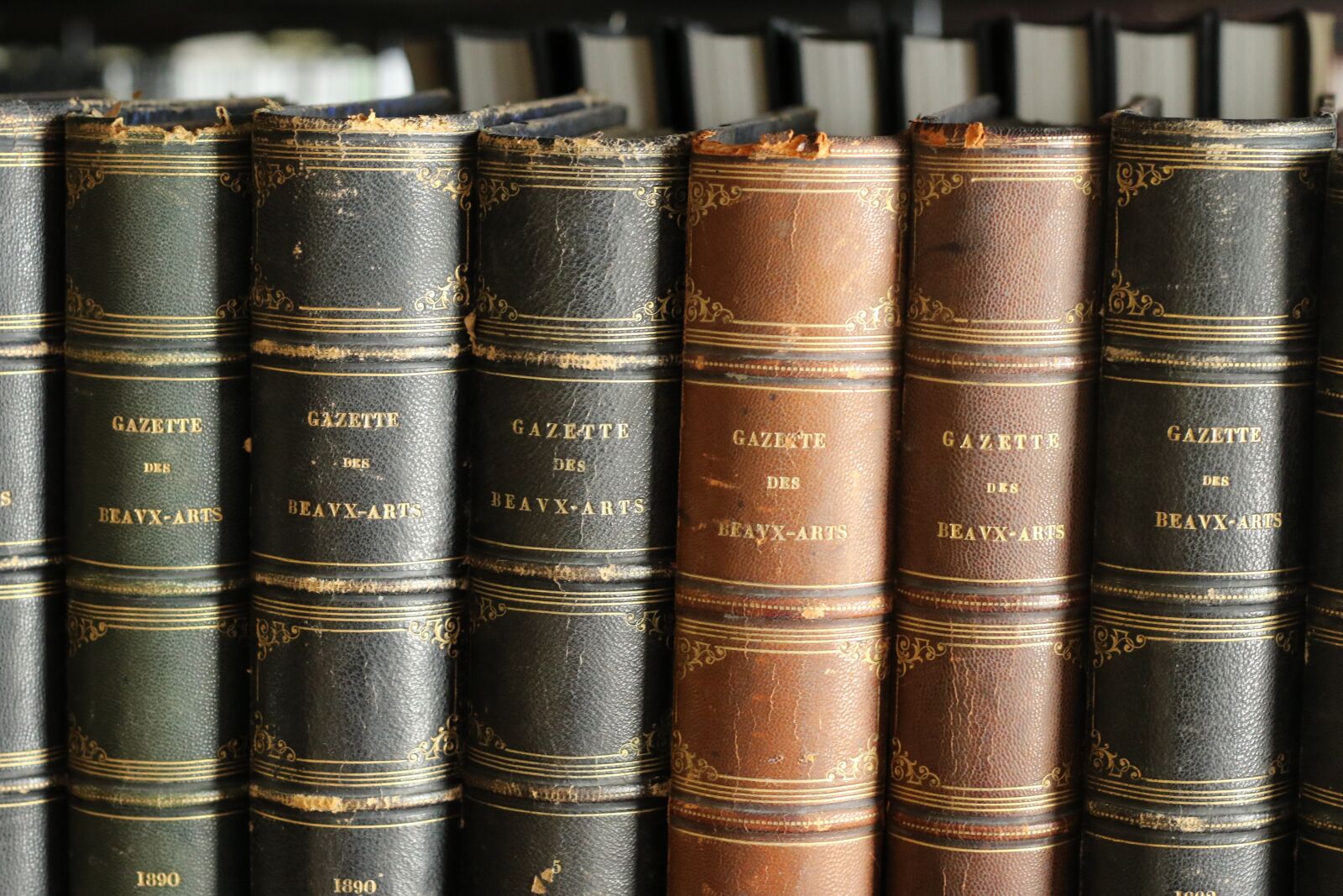 Canon EOS 7D Mark II sample photo. Books, old, bookshelf photography