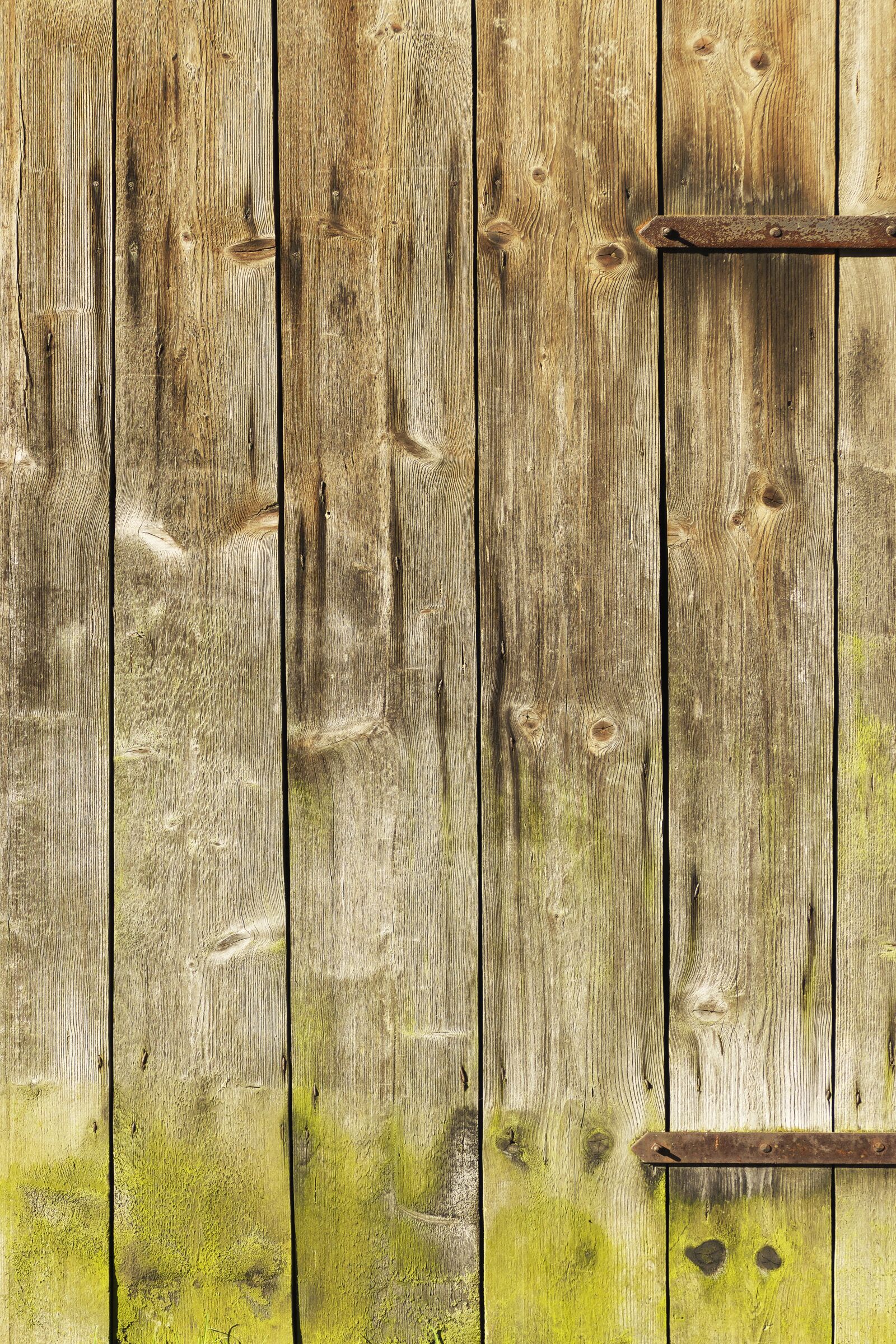 Panasonic Lumix DMC-FZ1000 sample photo. Wooden boards, boards, wooden photography